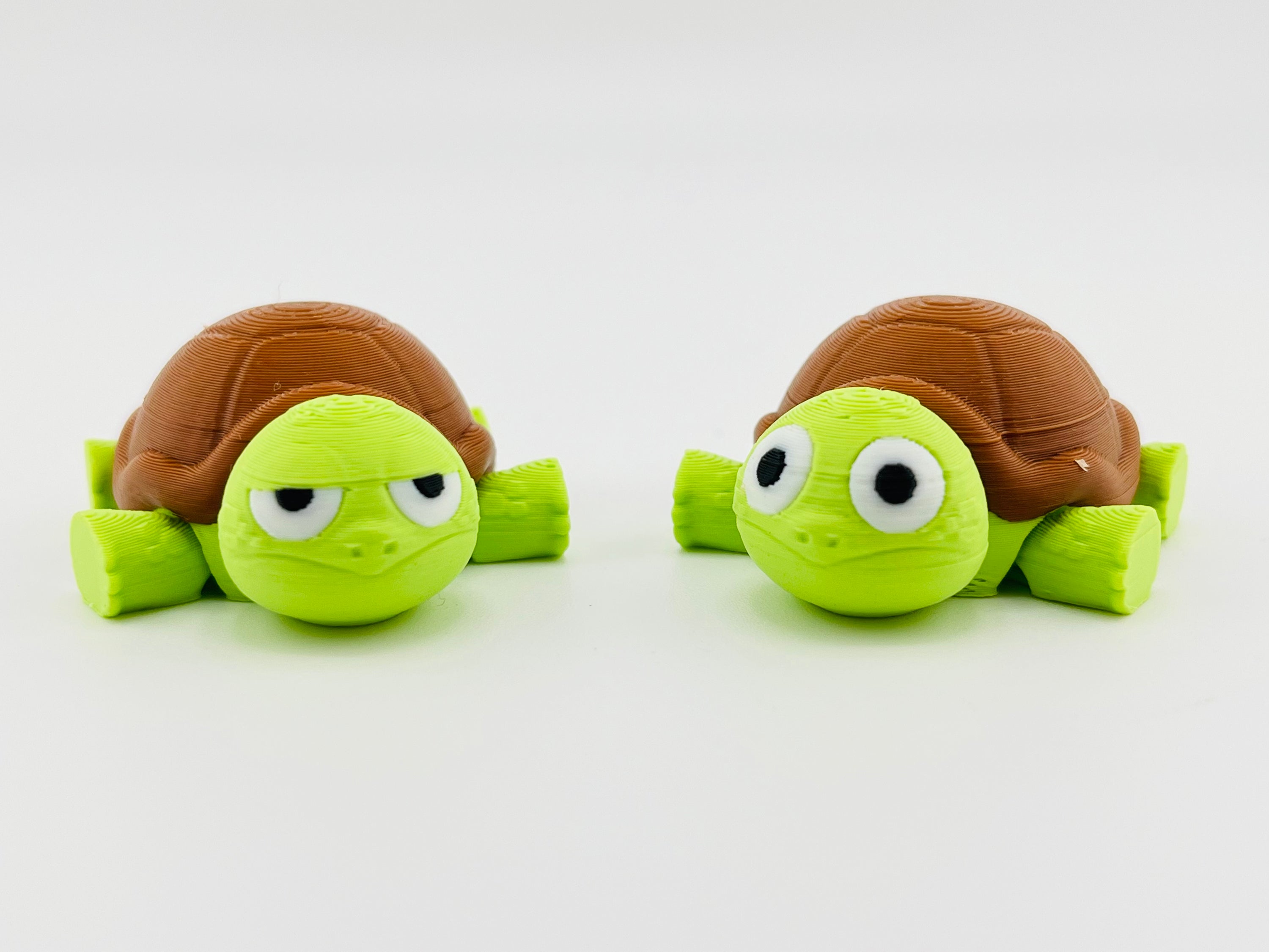 Sad Tortoise Fidget Toy