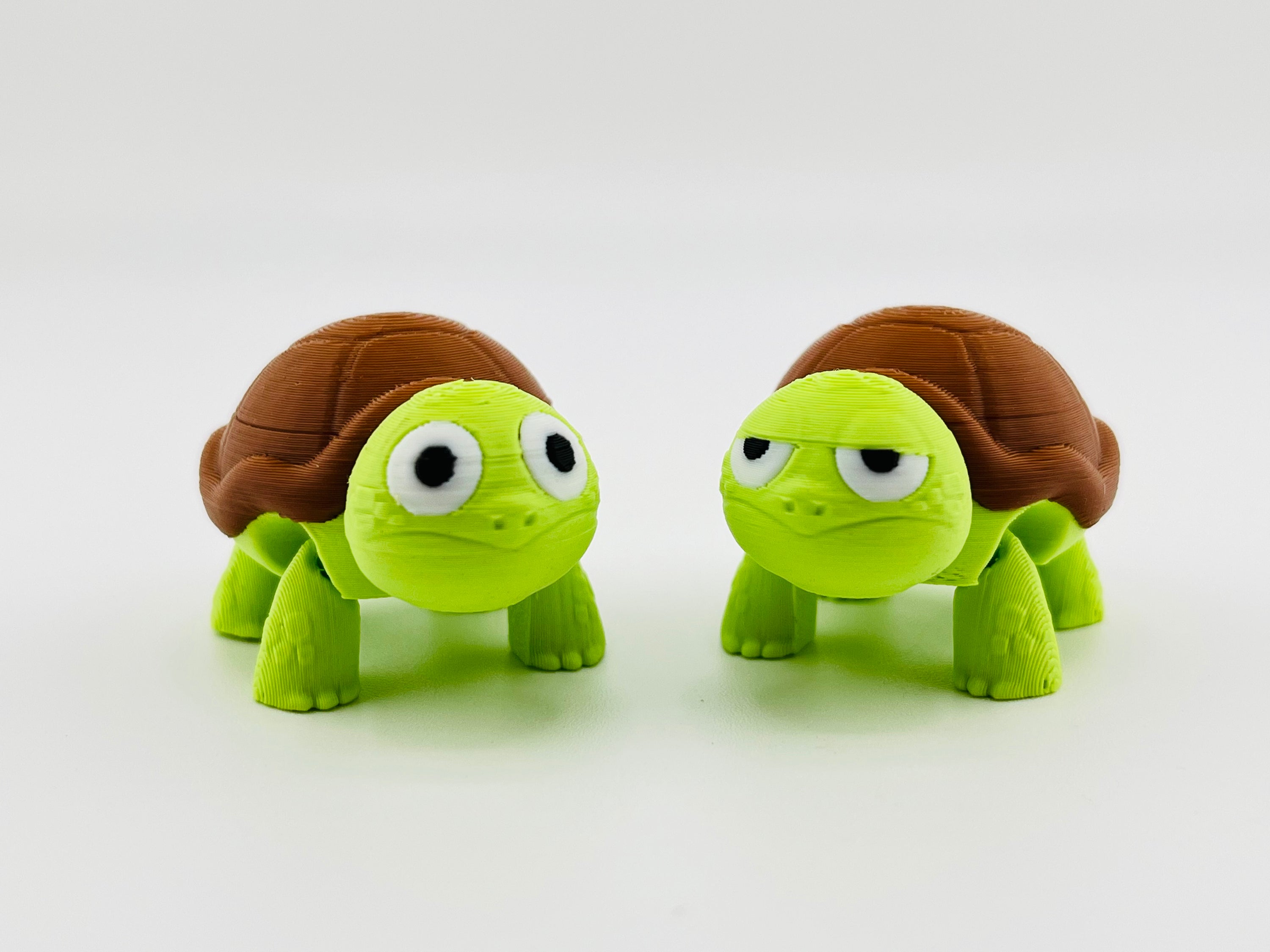 Sad Tortoise Fidget Toy