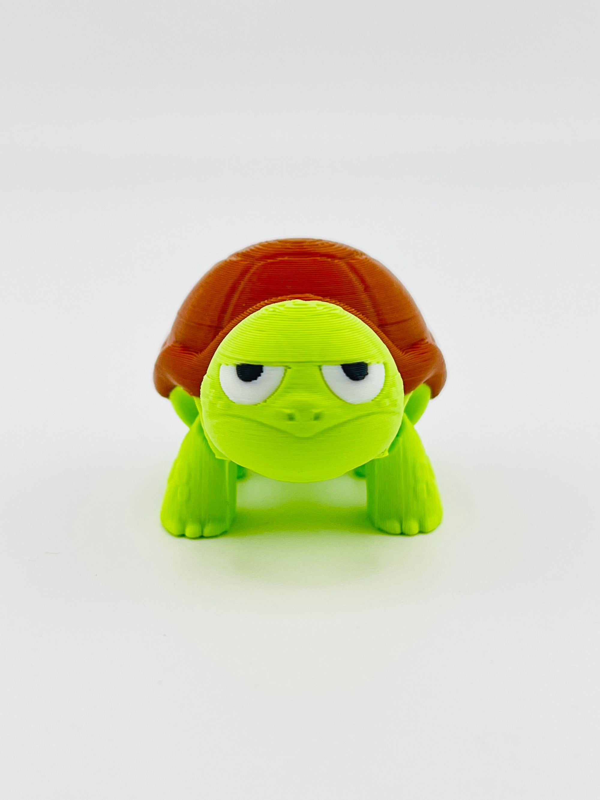 Sad Tortoise Fidget Toy