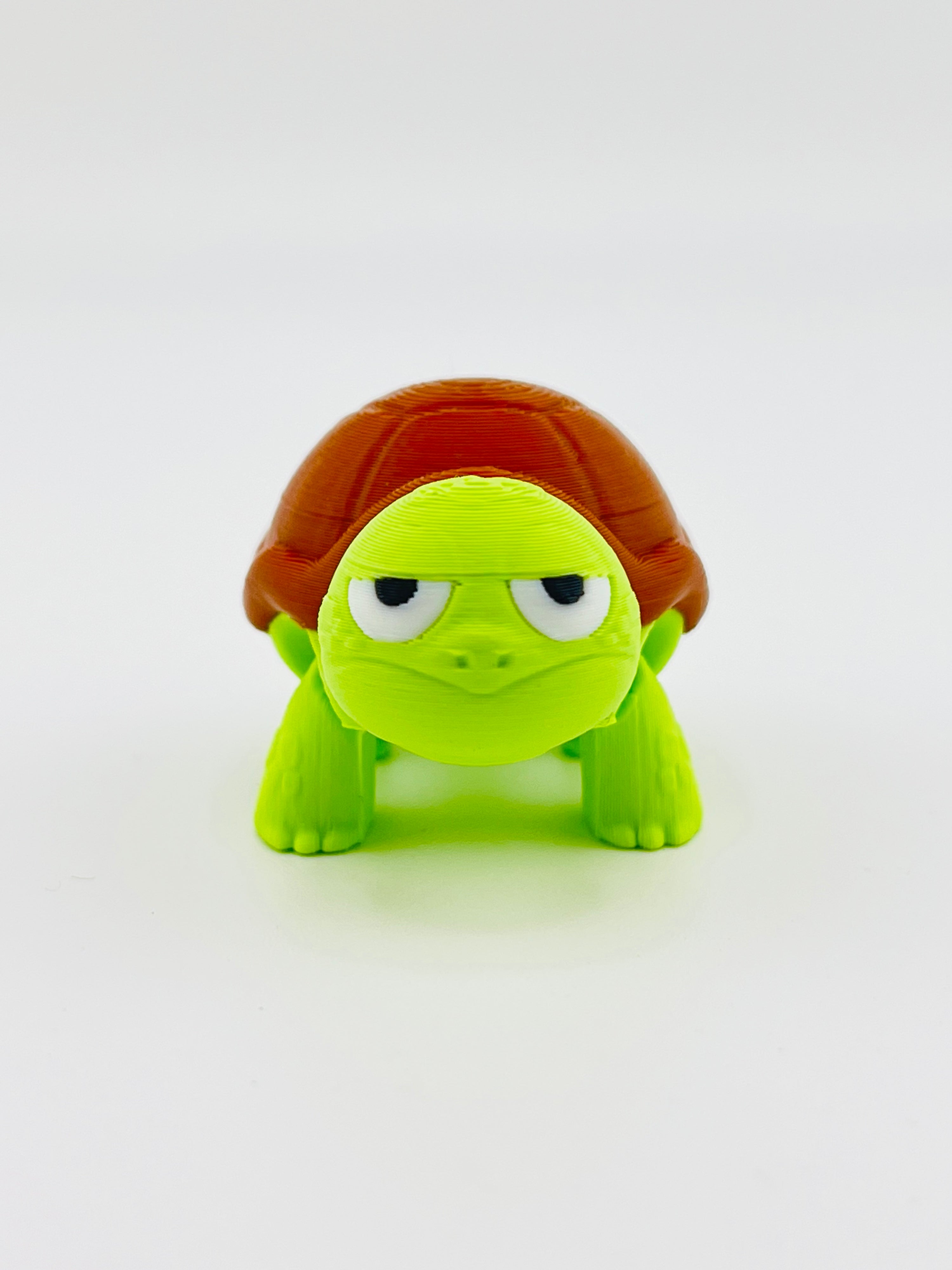 Sad Tortoise Fidget Toy