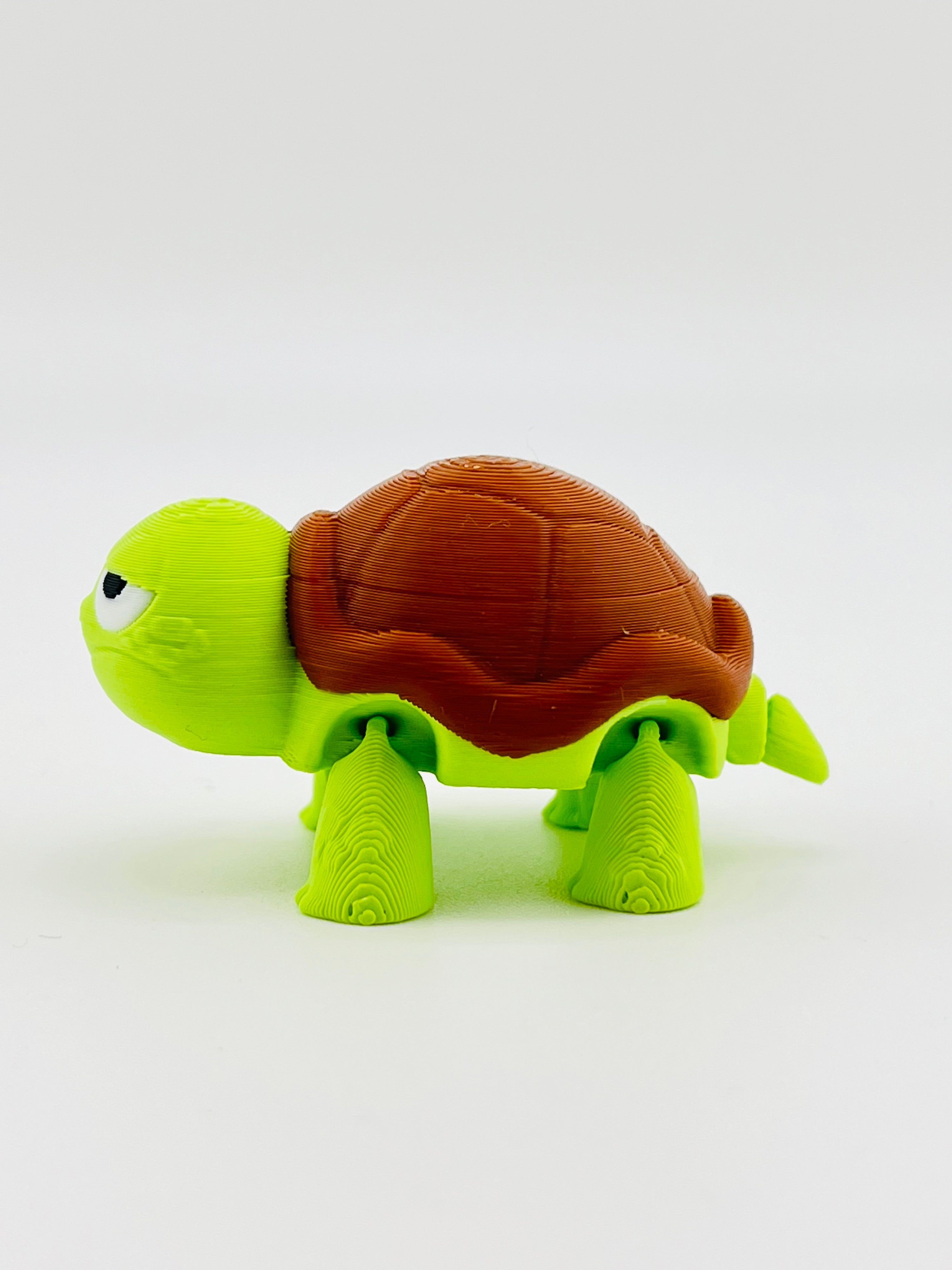 Sad Tortoise Fidget Toy