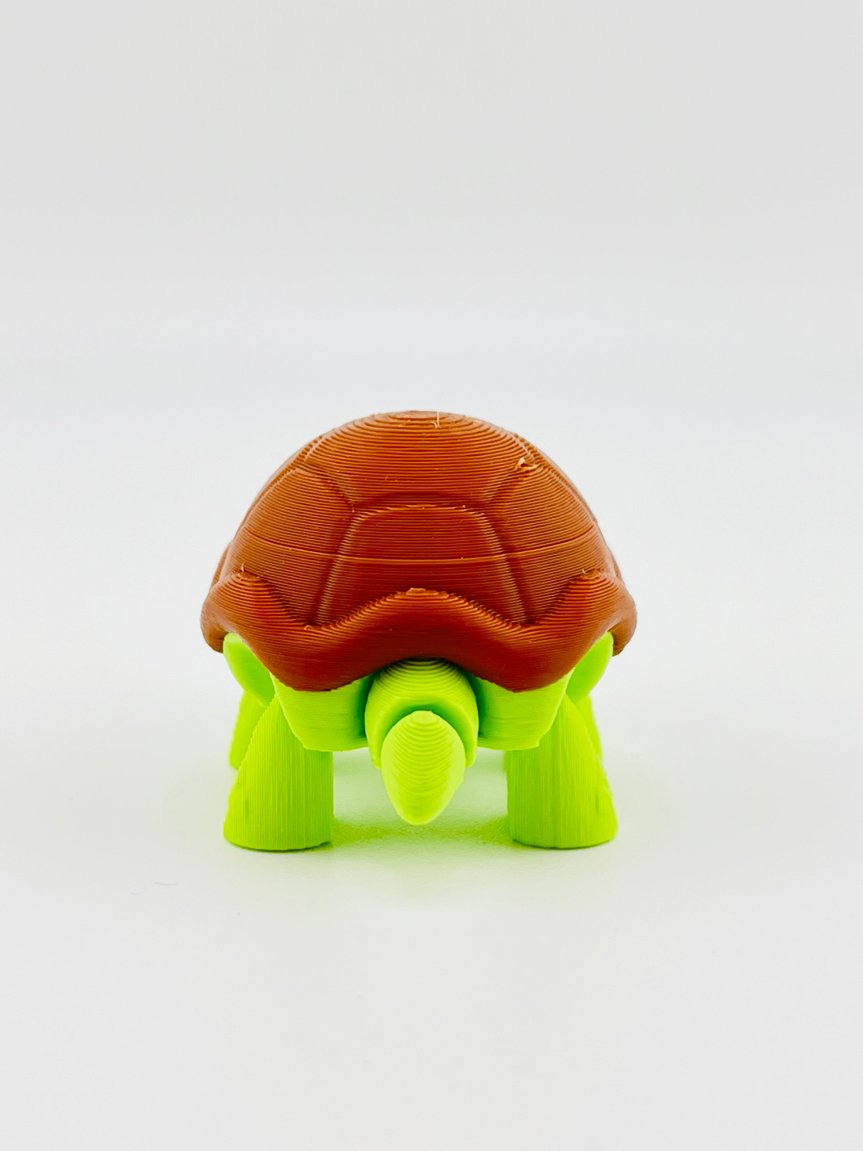 Sad Tortoise Fidget Toy