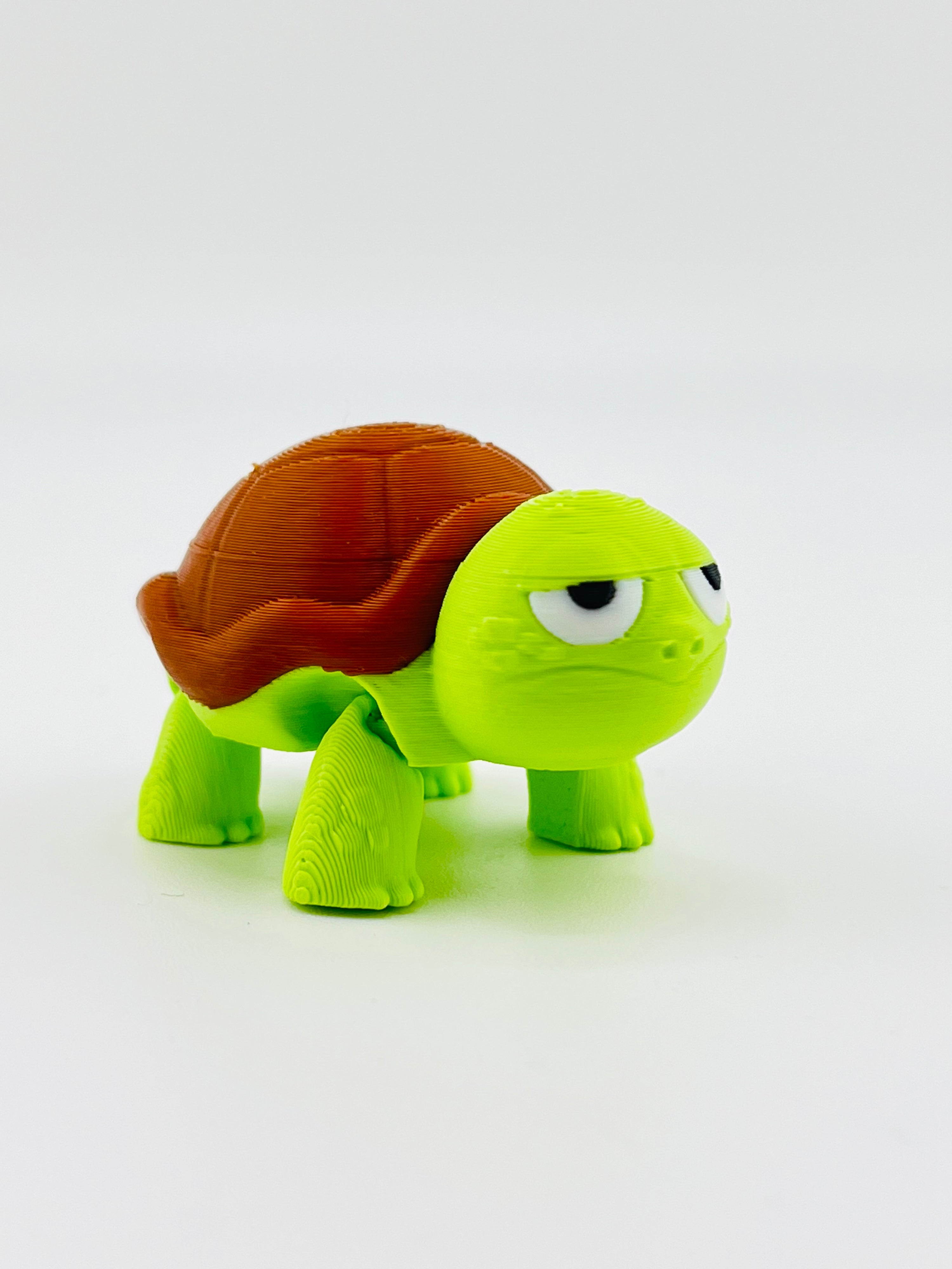 Sad Tortoise Fidget Toy