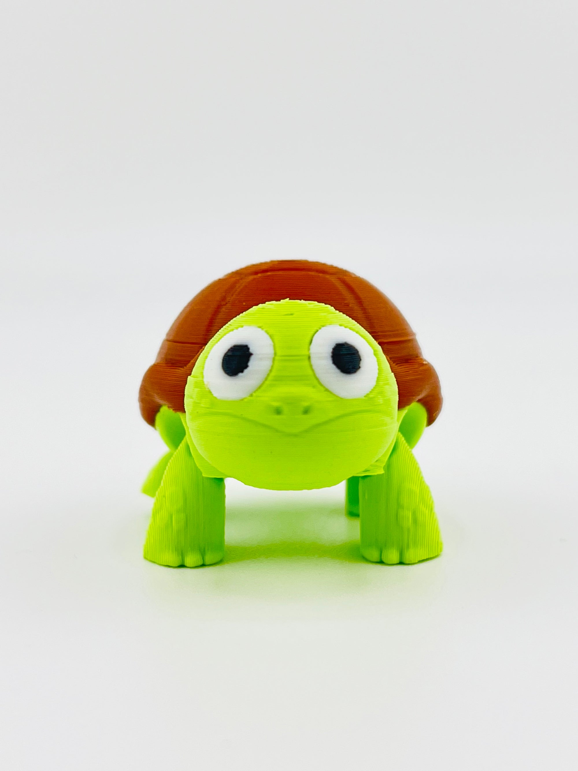 Happy Tortoise Fidget Toy