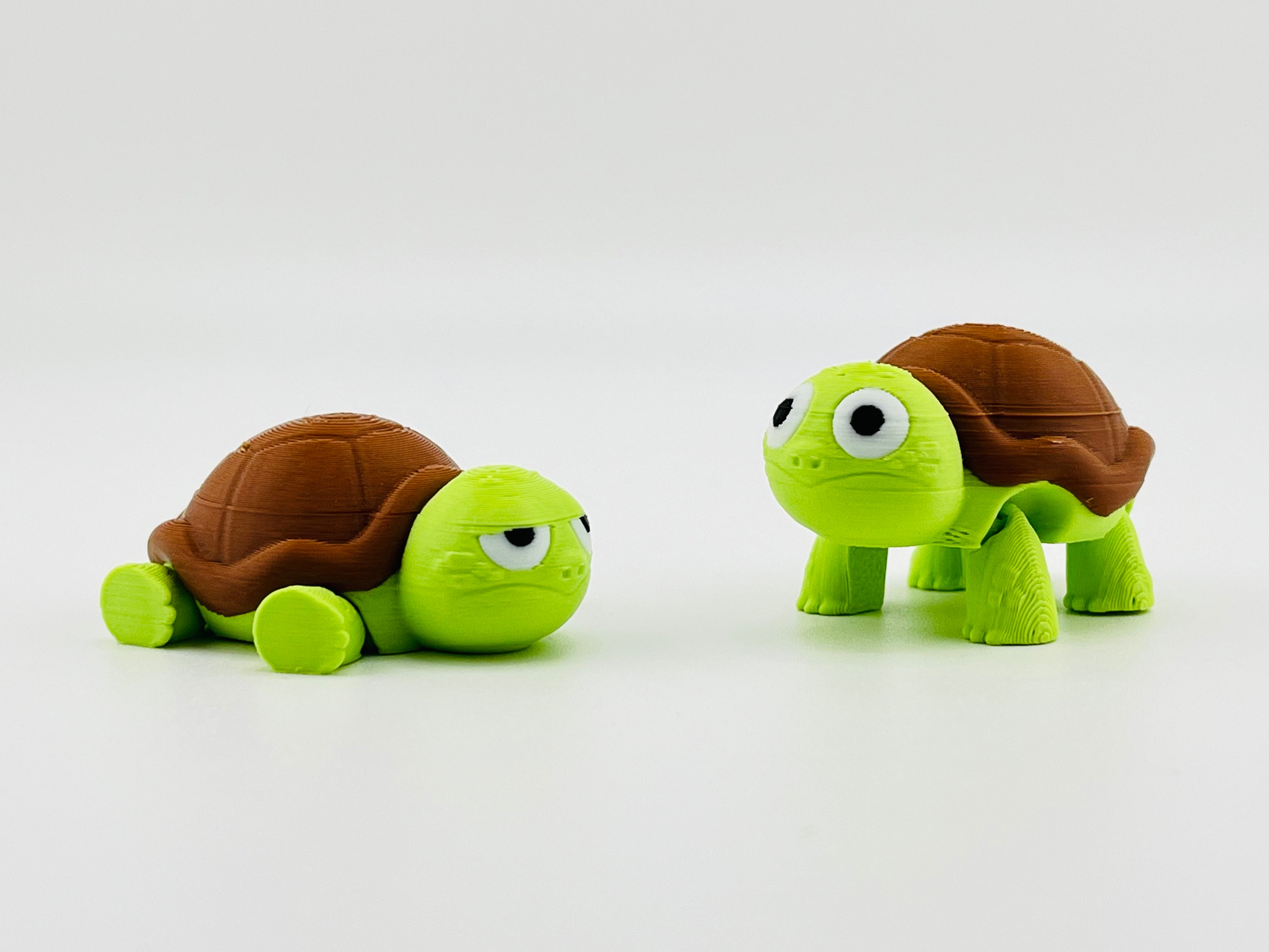 Sad Tortoise Fidget Toy