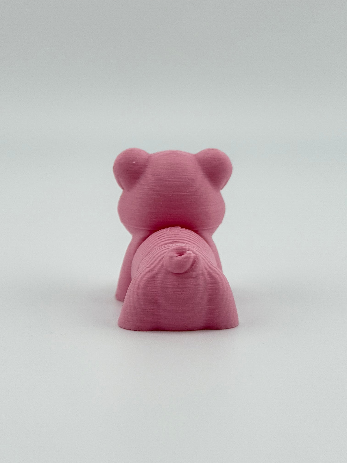 Happy Pig Fidget Toy
