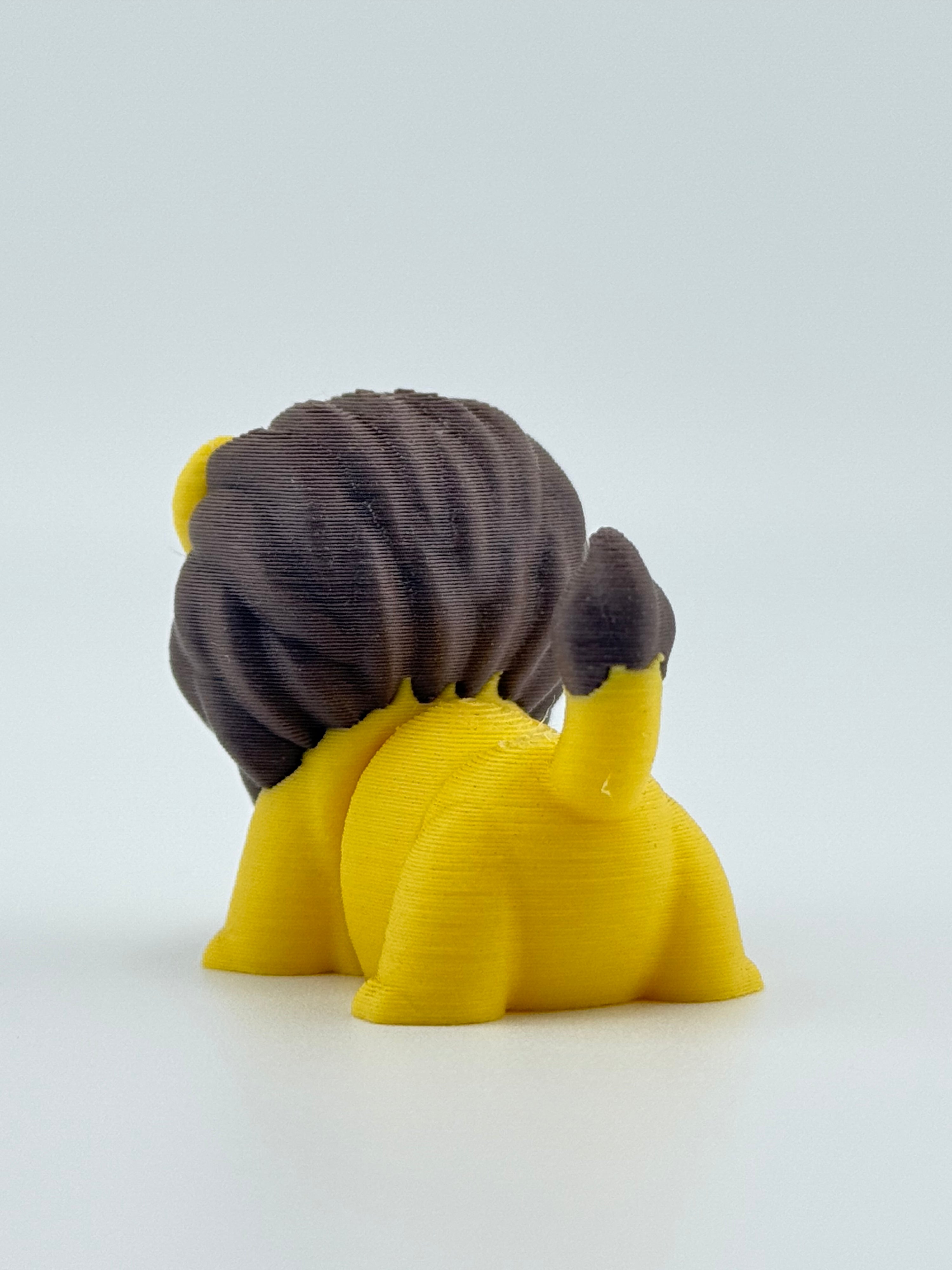 Happy Lion Fidget Toy