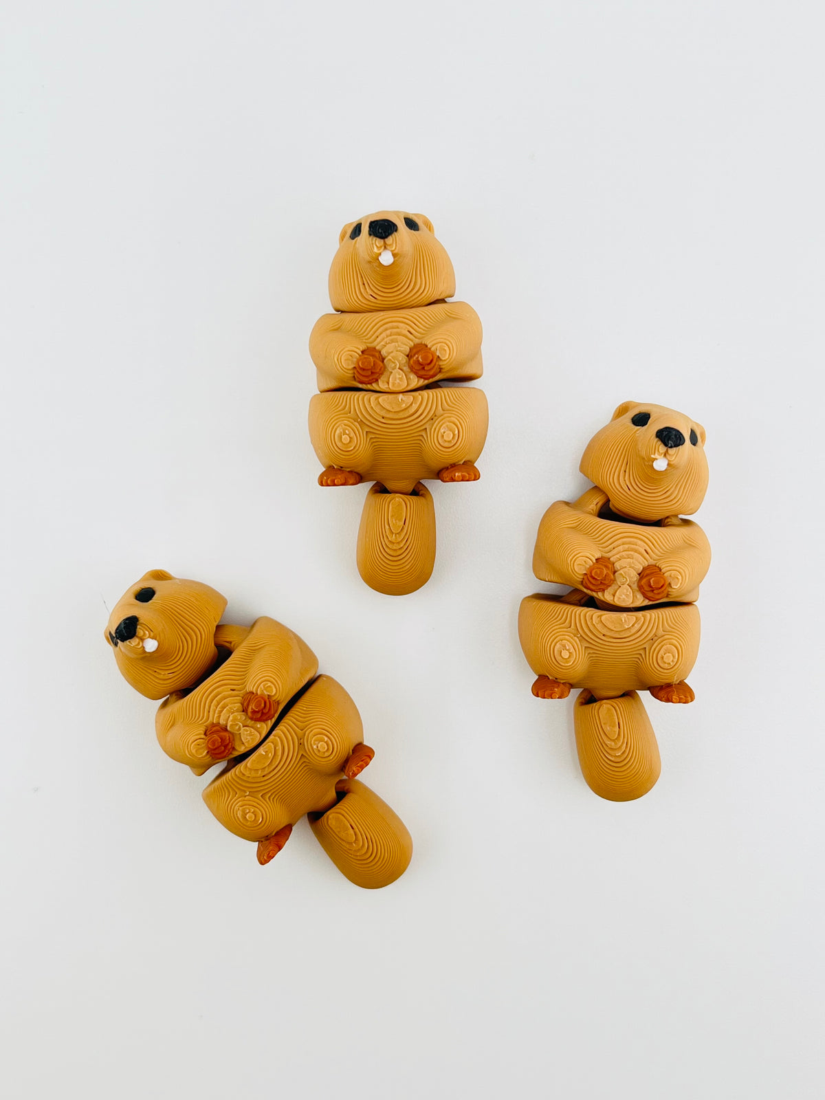 Groundhog Fidget Toy