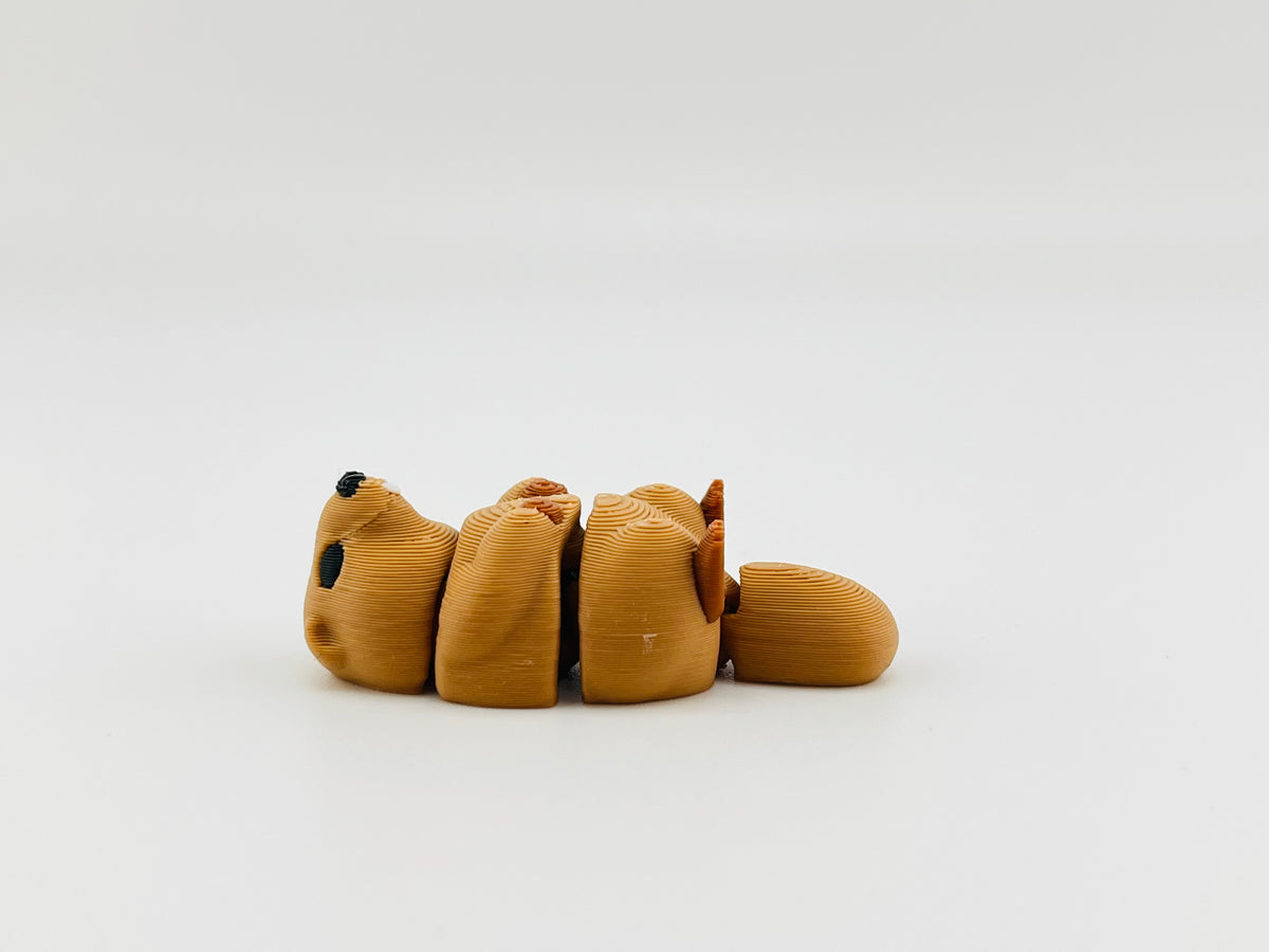 Groundhog Fidget Toy