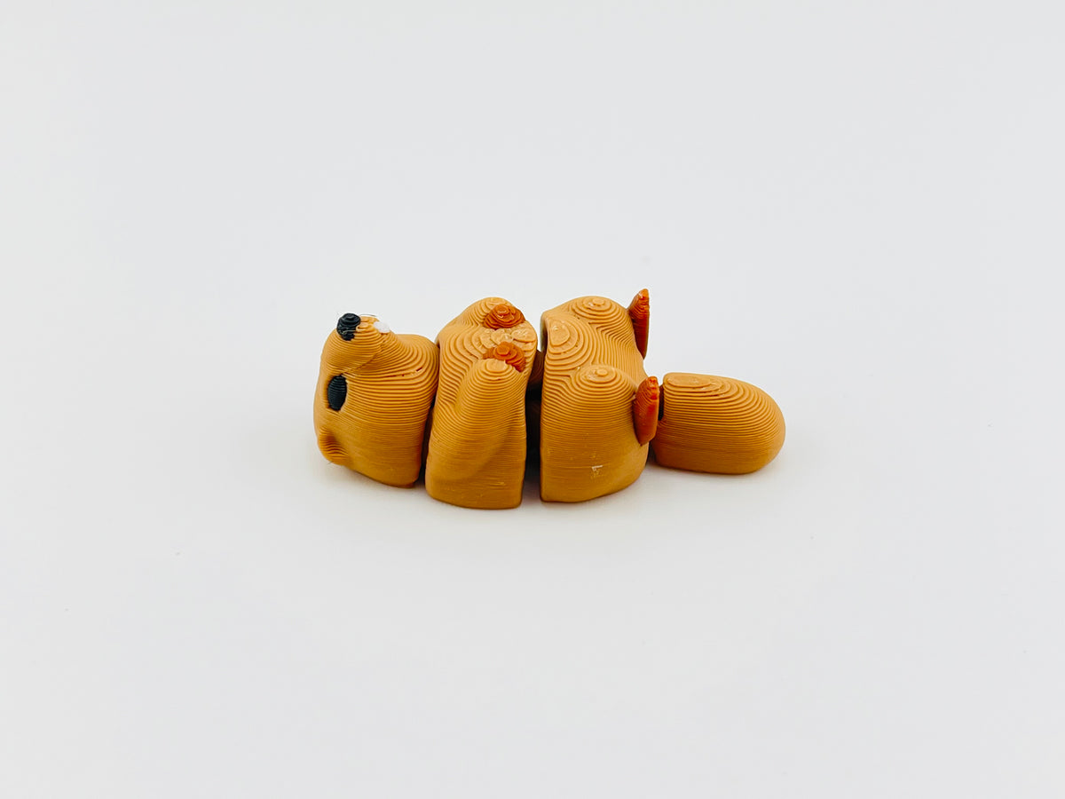 Groundhog Fidget Toy