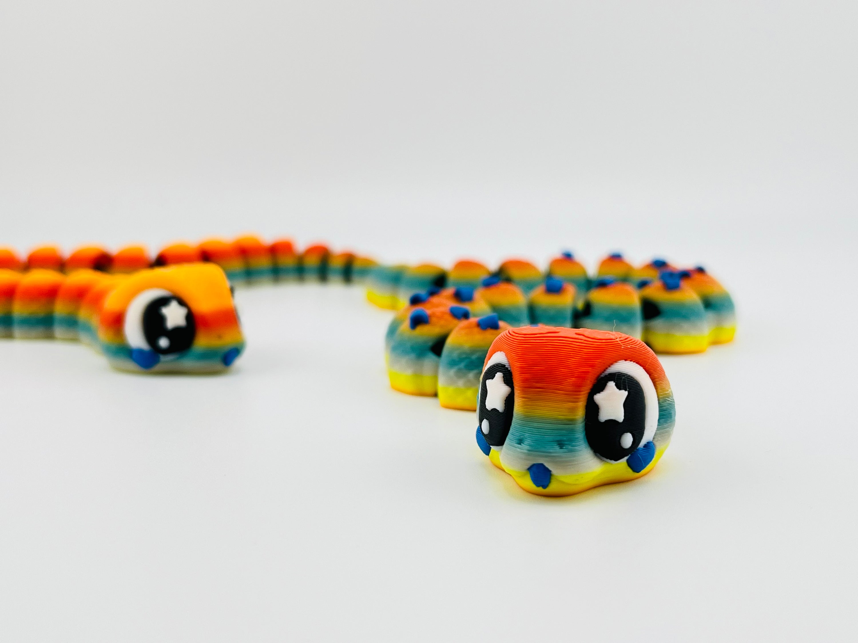 Rainbow Snake Fidget Toy