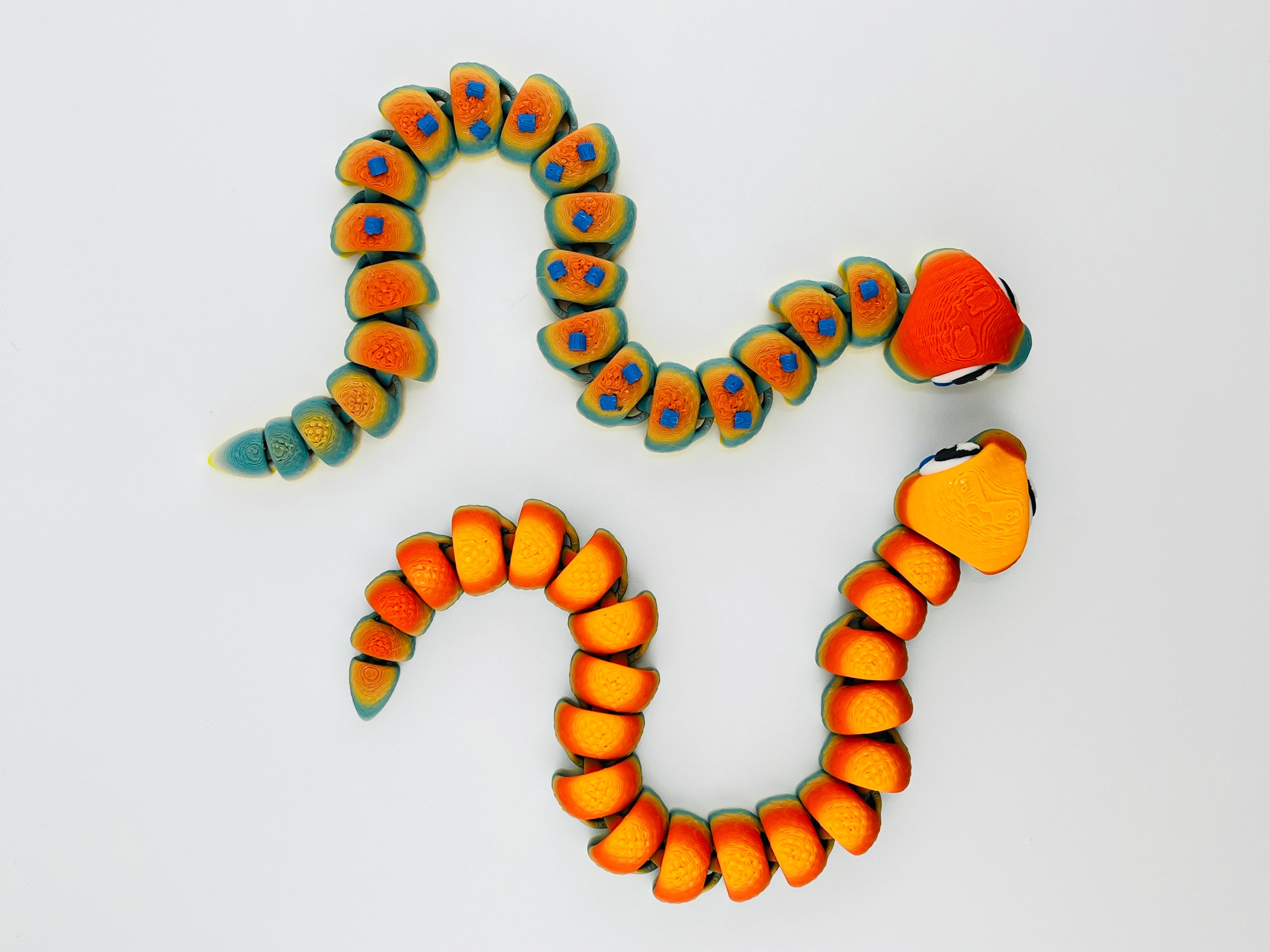 Rainbow Snake Fidget Toy