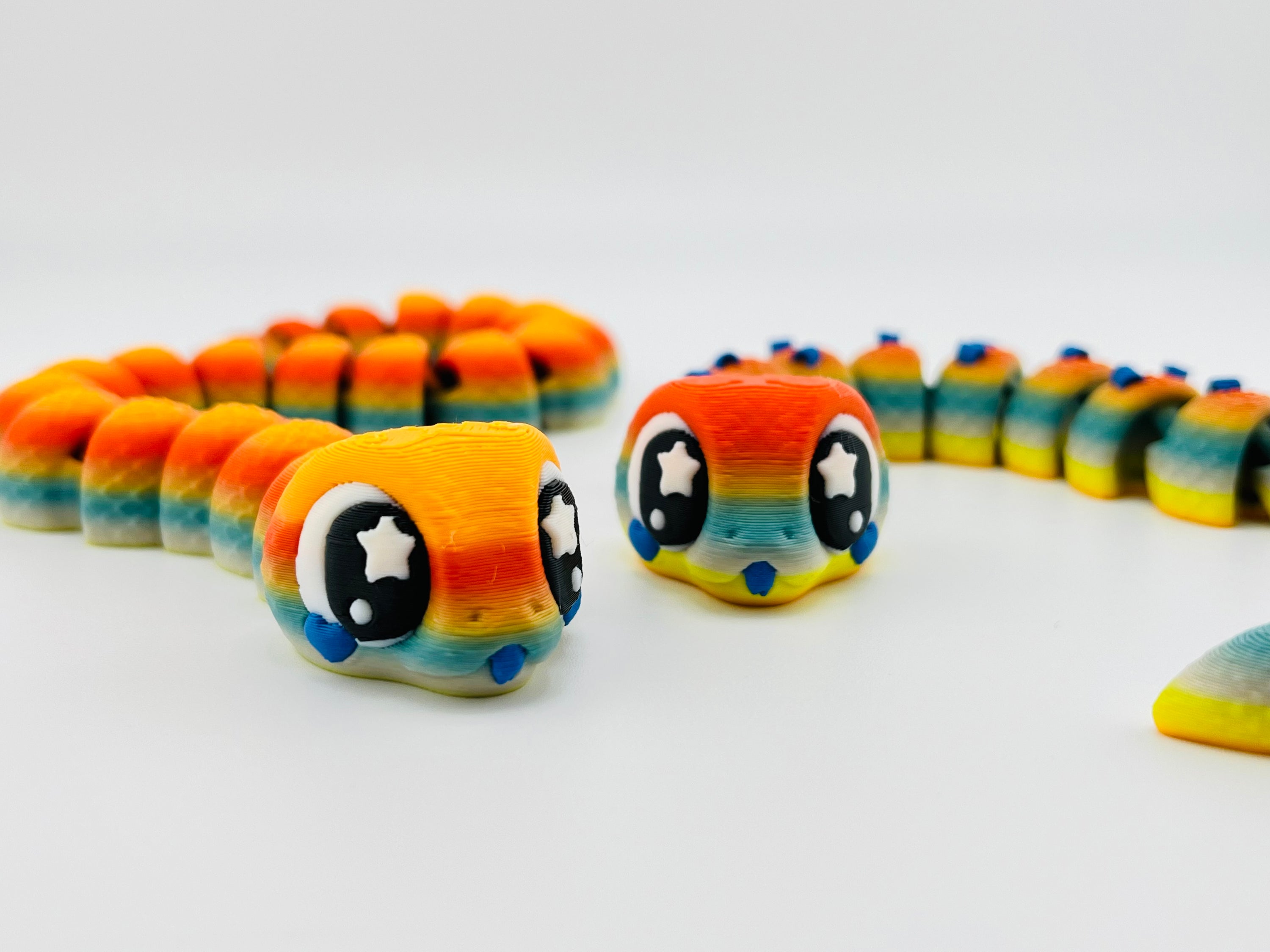 Rainbow Snake Fidget Toy