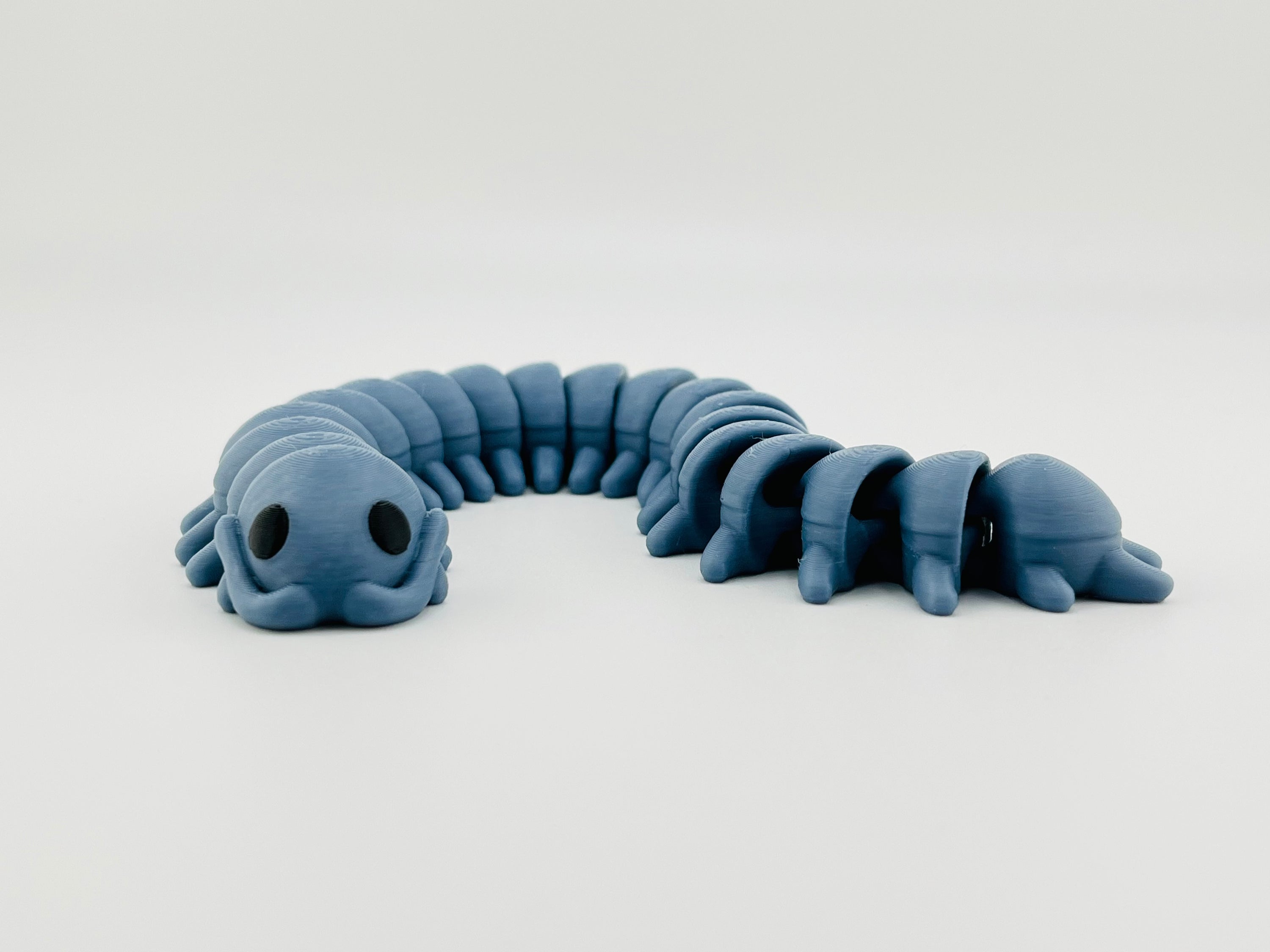 Centipede fidget Toy