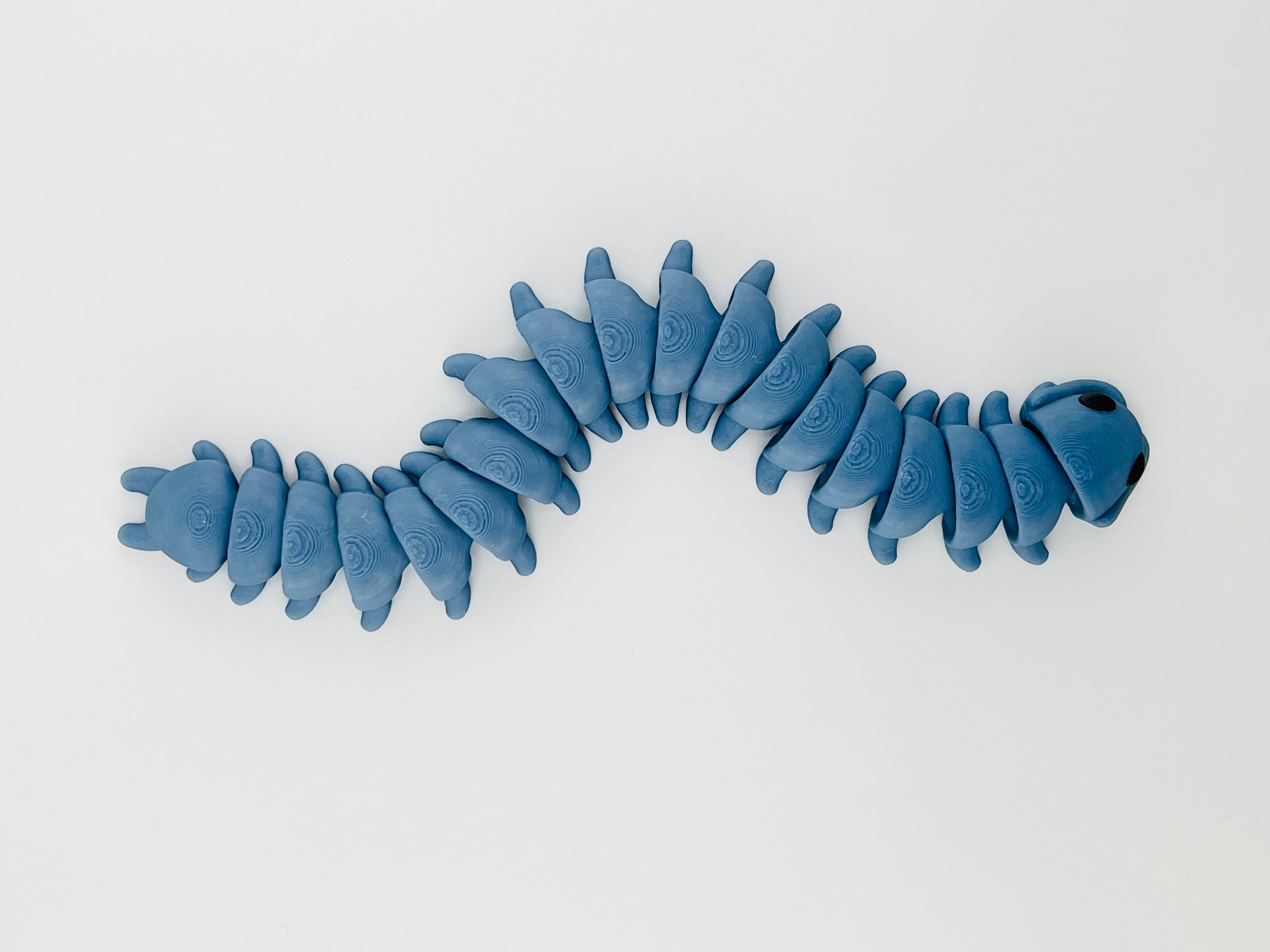 Centipede fidget Toy