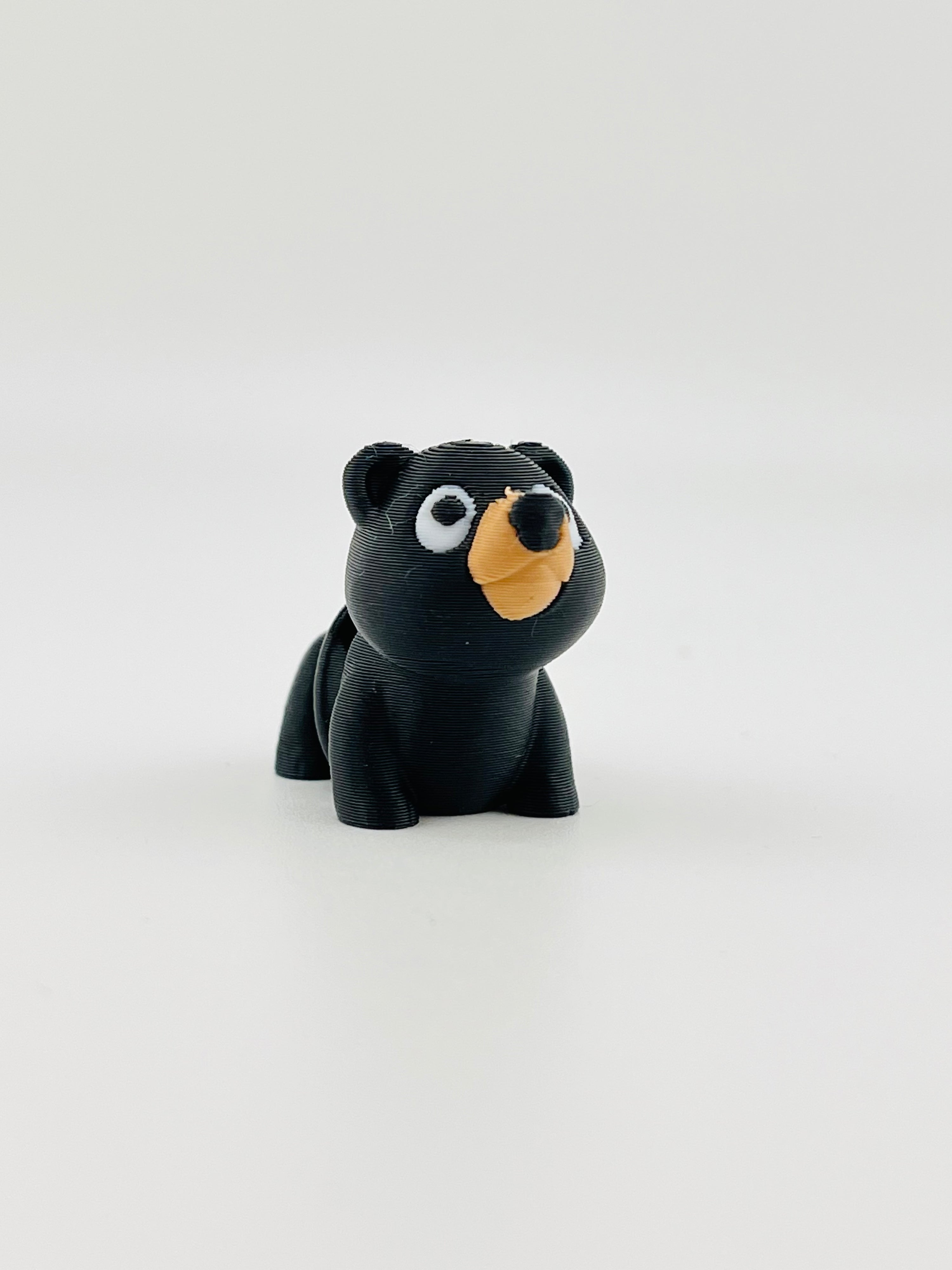 Black Bear Fidget Toy