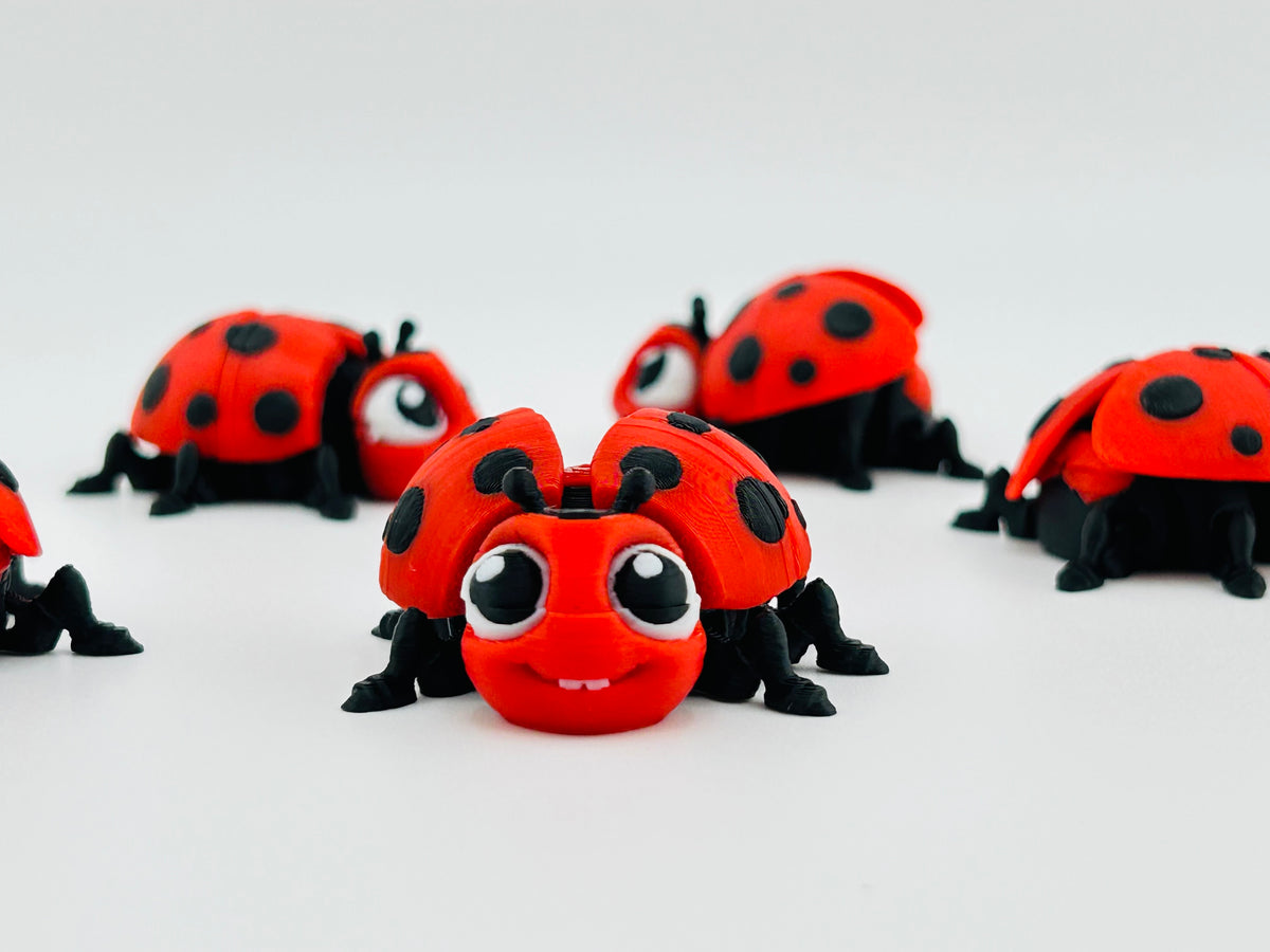 Red and black ladybird fidget toys with smiling faces