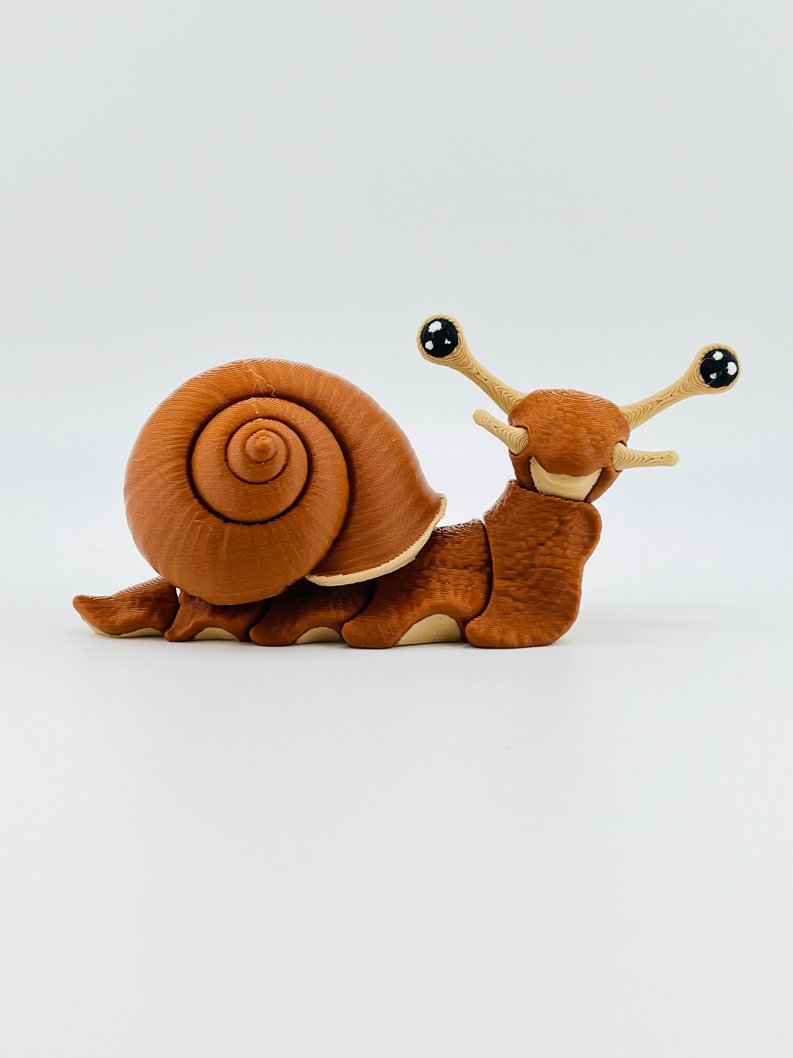 Snail Fidget Toy