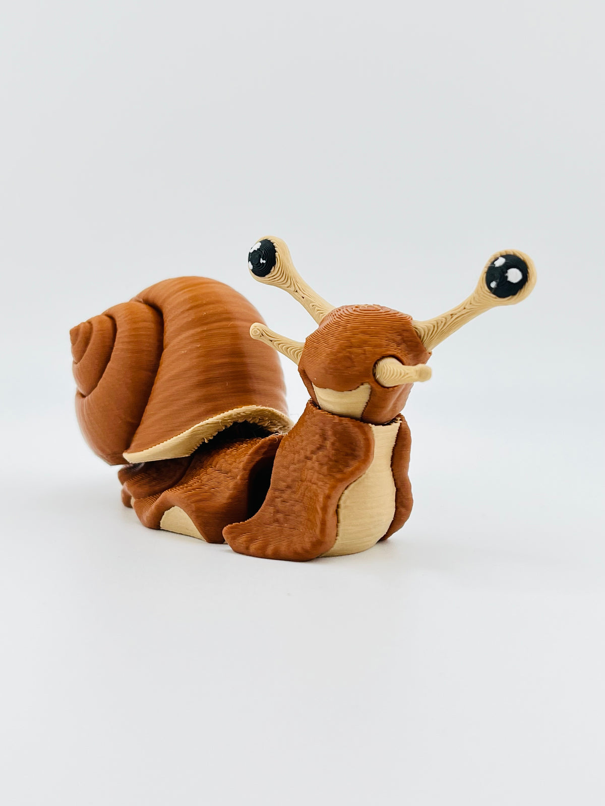 Snail Fidget Toy