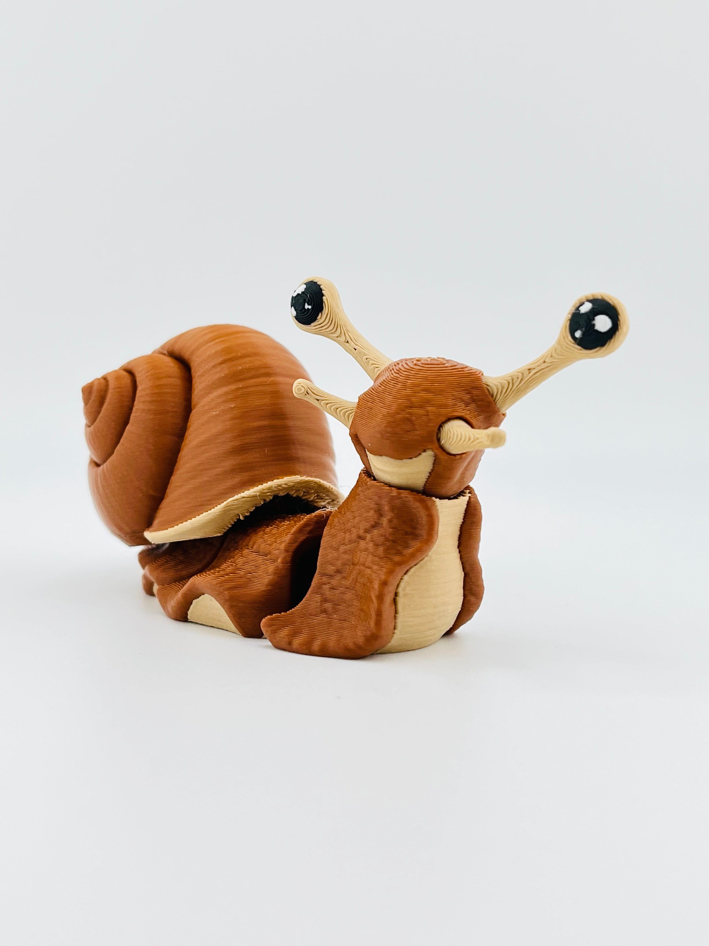 Snail Fidget Toy