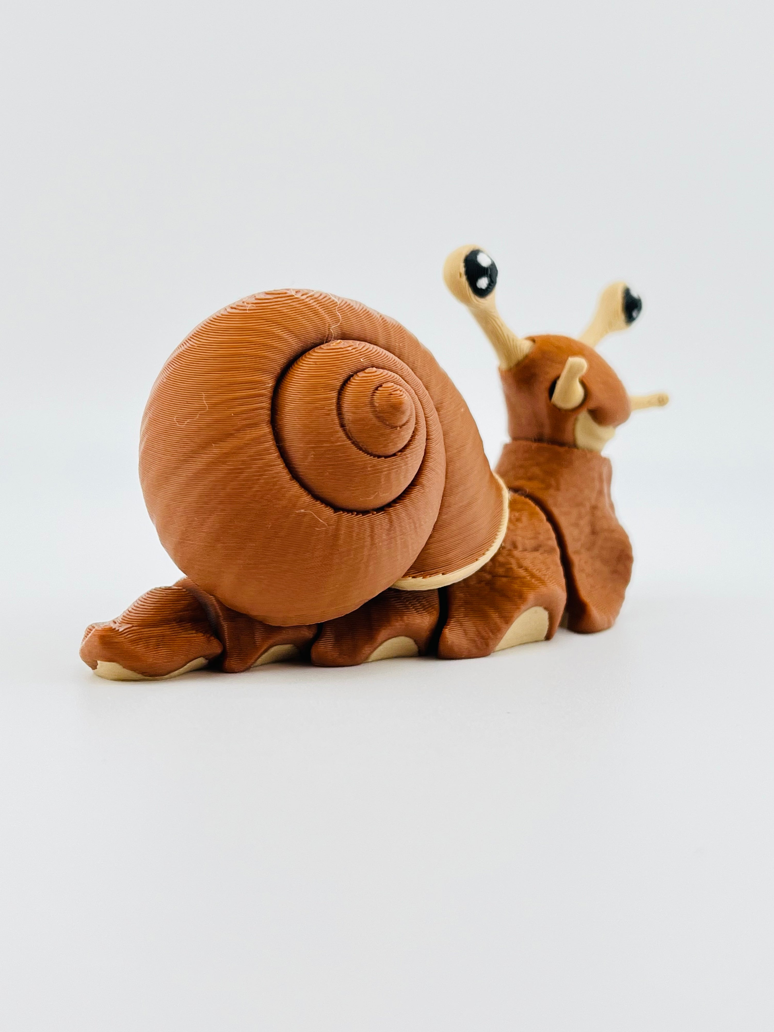 Snail Fidget Toy