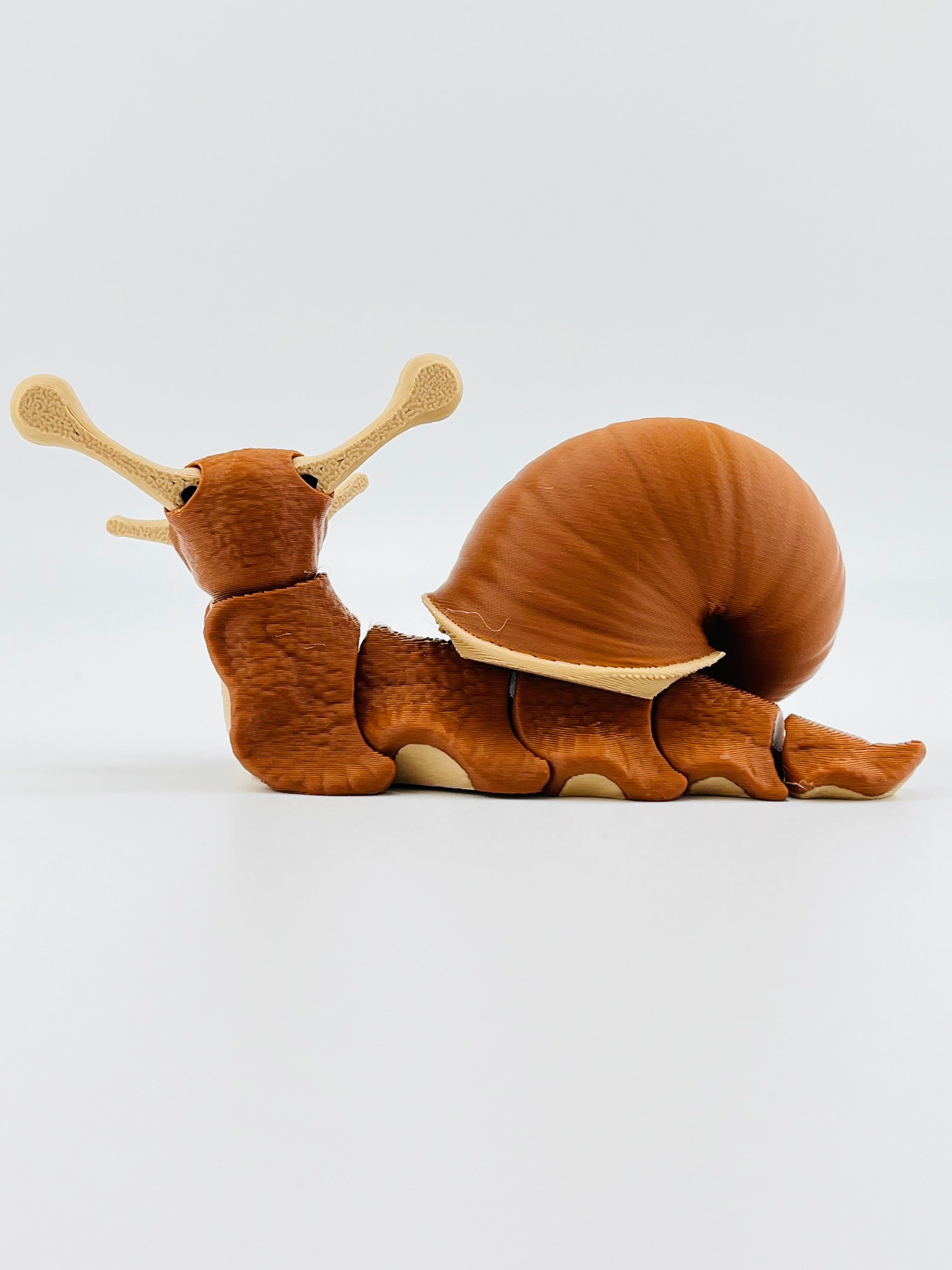 Snail Fidget Toy