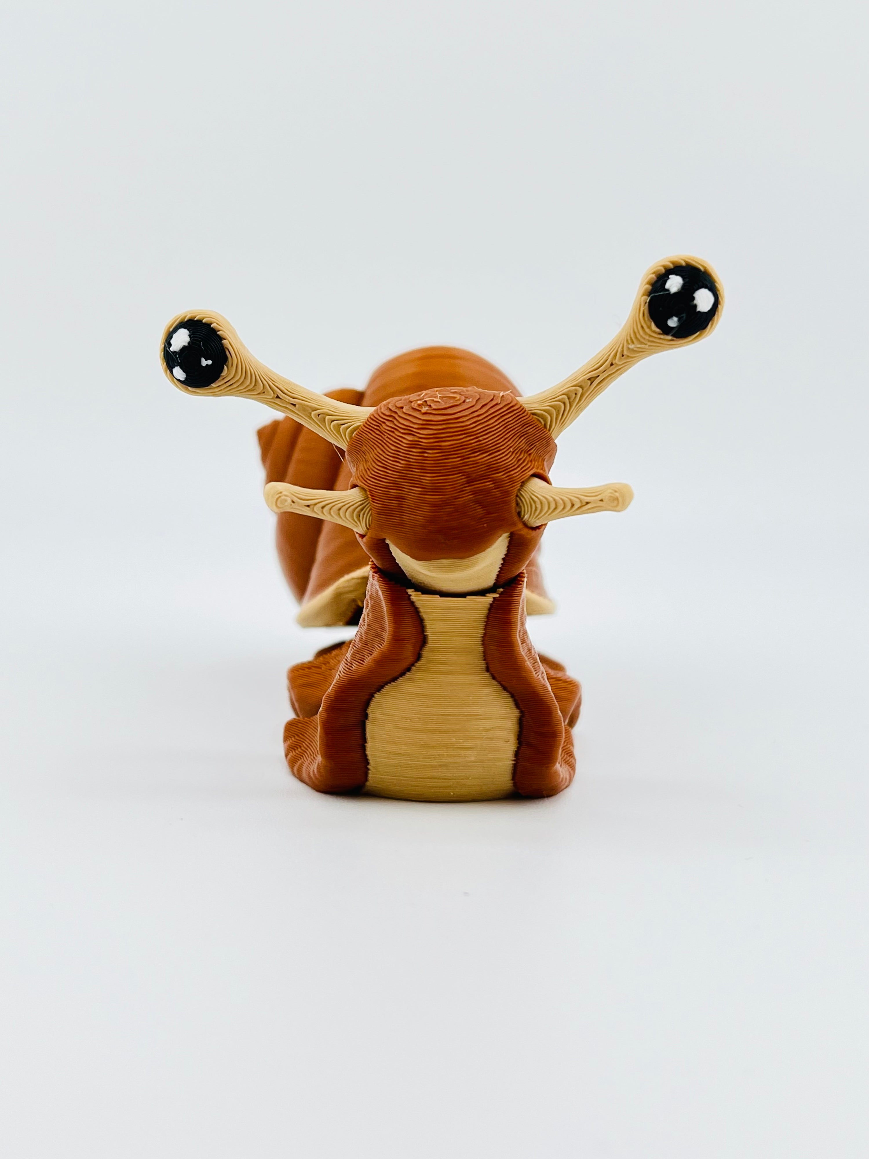 Snail Fidget Toy