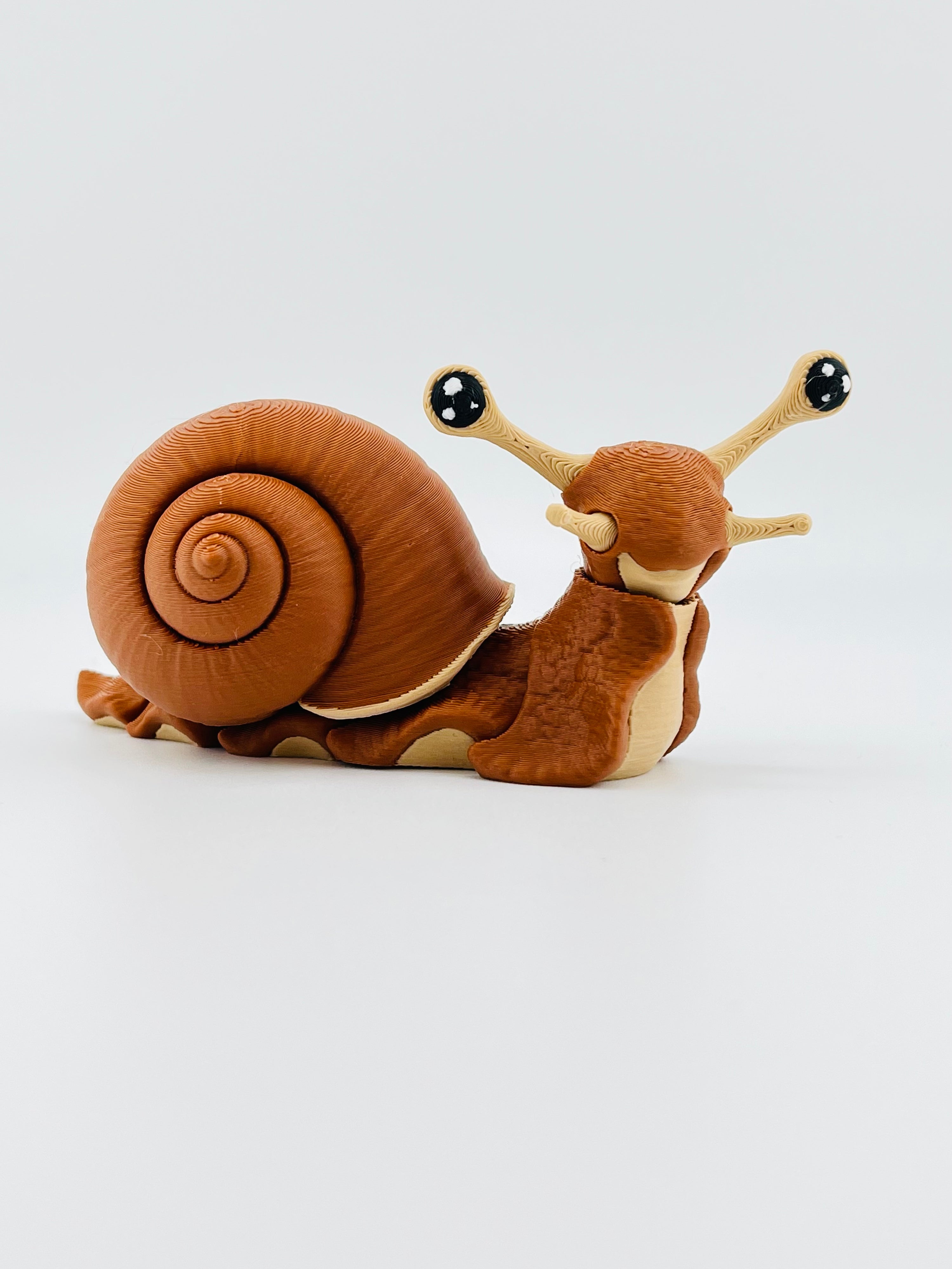 Snail Fidget Toy