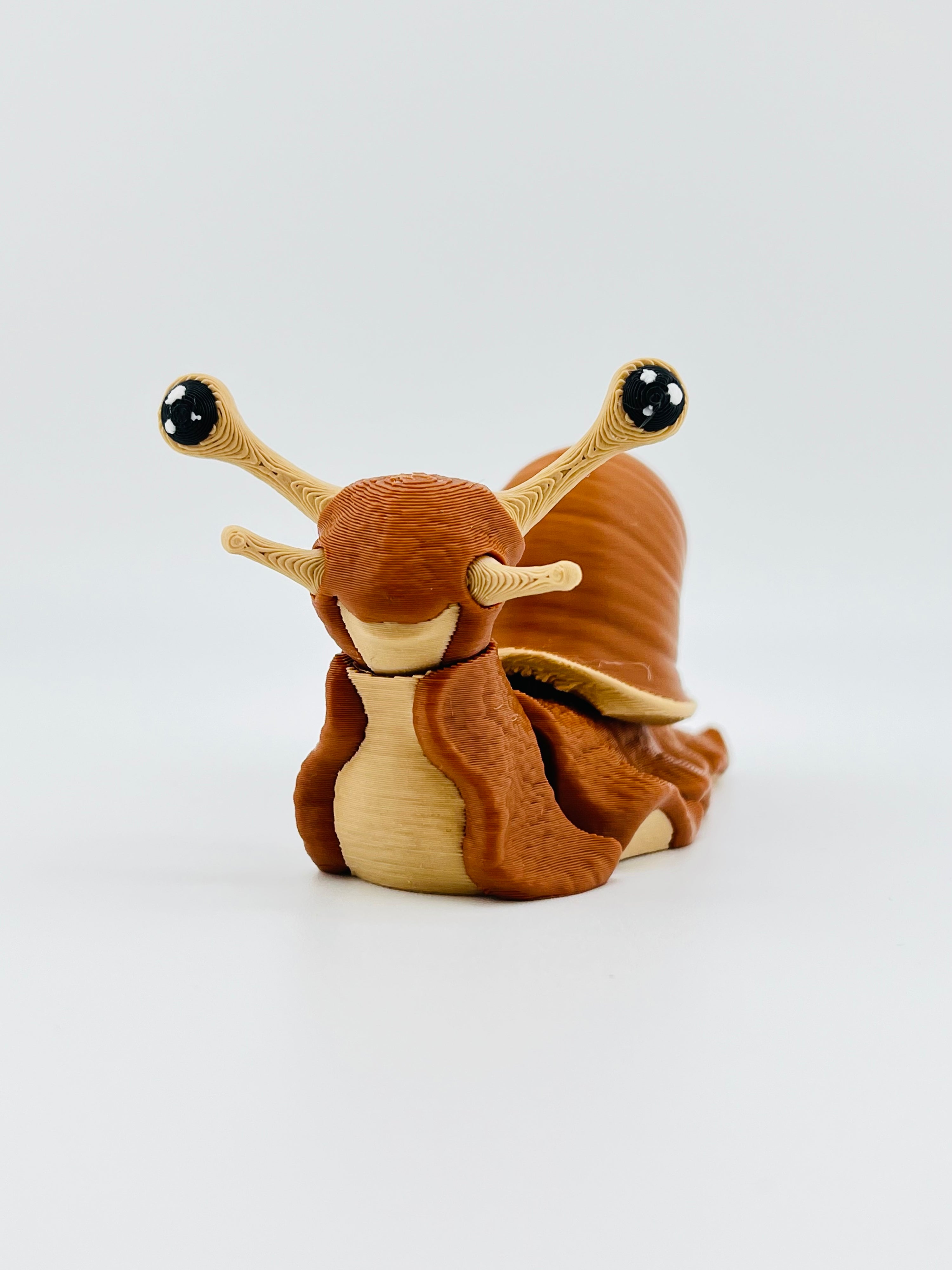Snail Fidget Toy