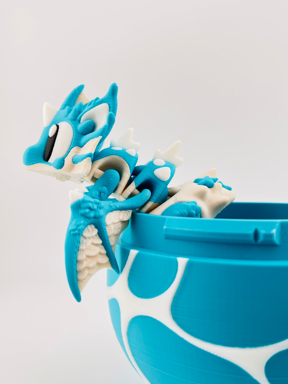 Seashell Egg and Seashell Dragon