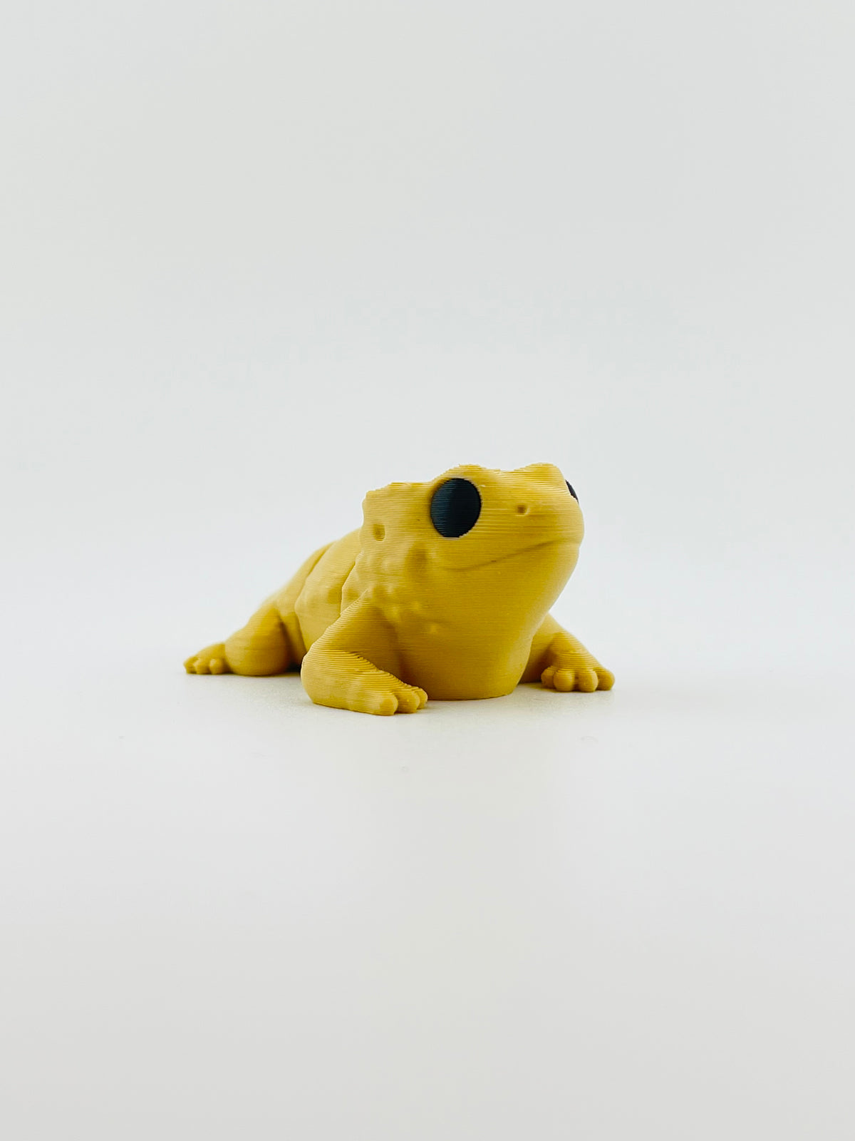 Baby Bearded Dragon Pick & Mix