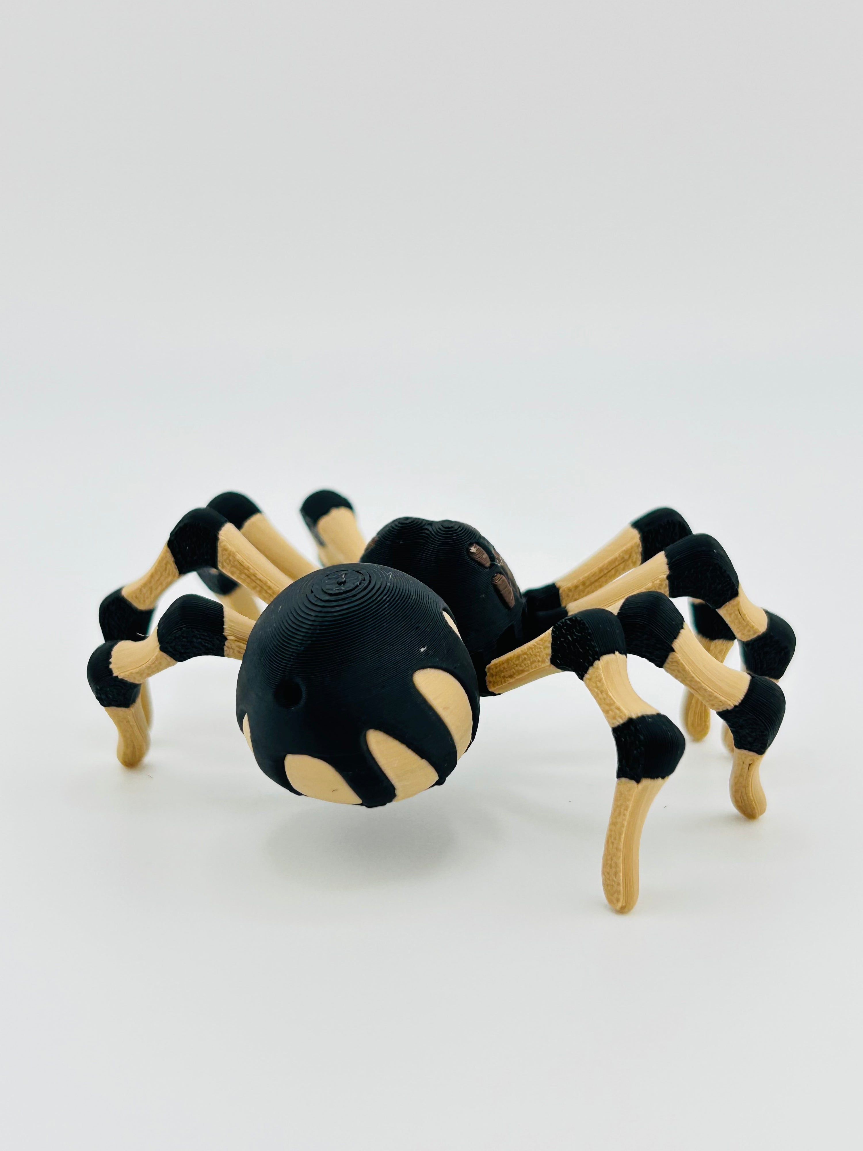 Brown Spider Fidget Toy
