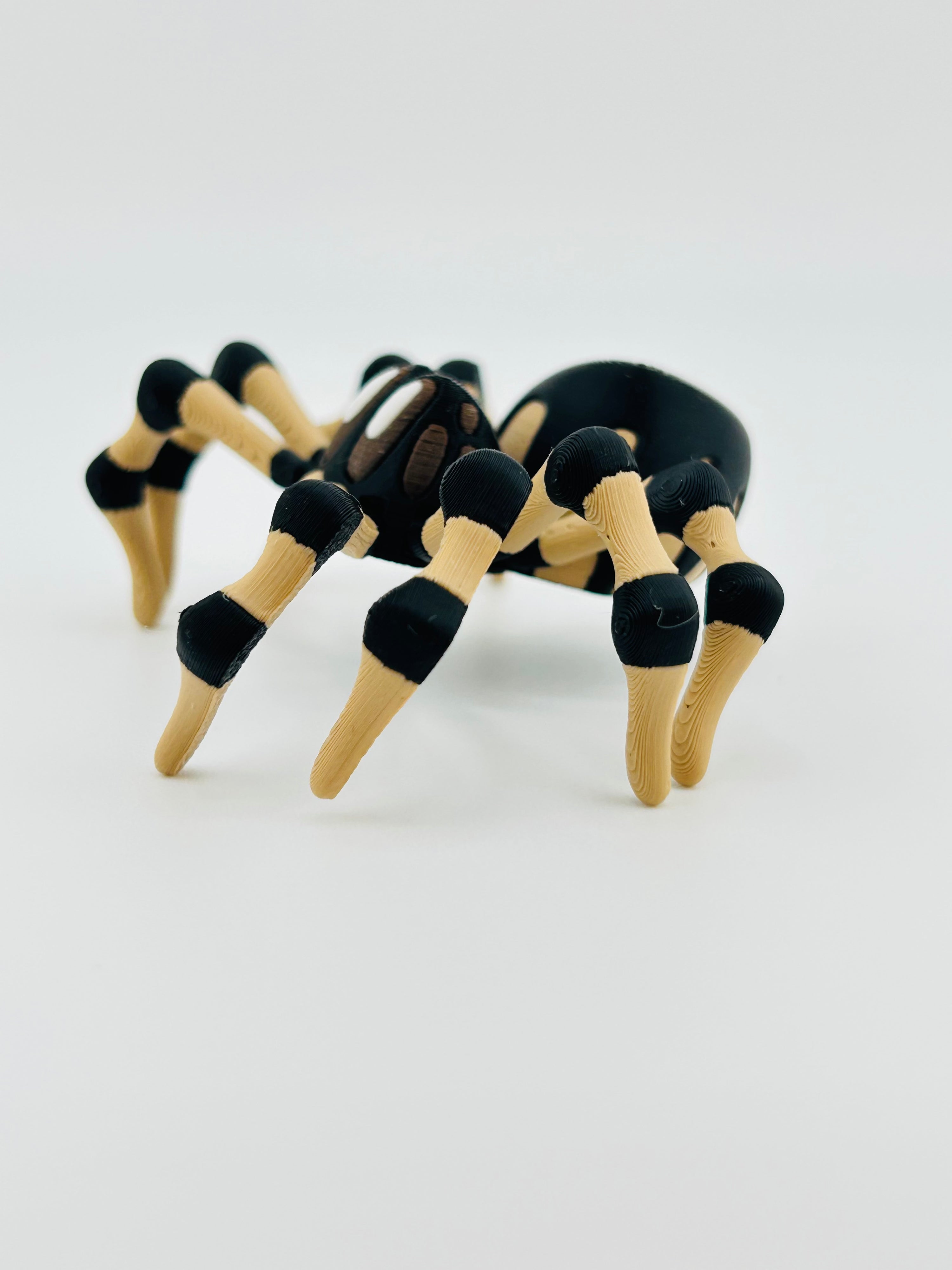 Brown Spider Fidget Toy