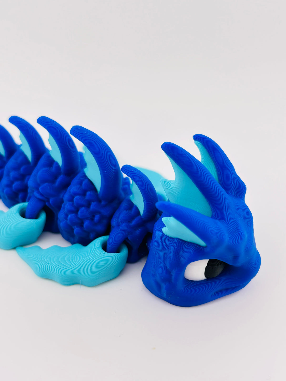 Sea Dweller Fidget Toy