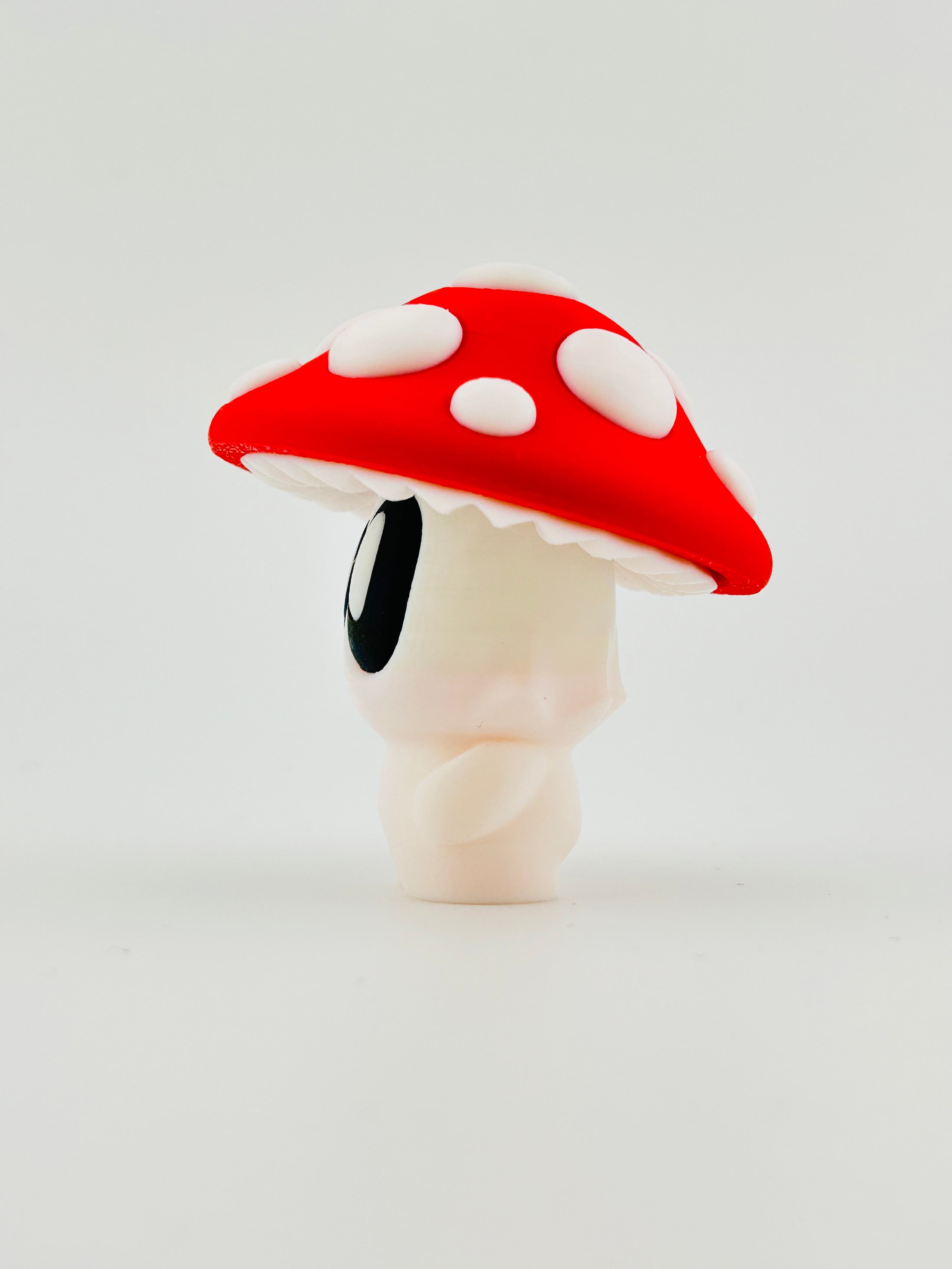 Mushroom Fidget toy