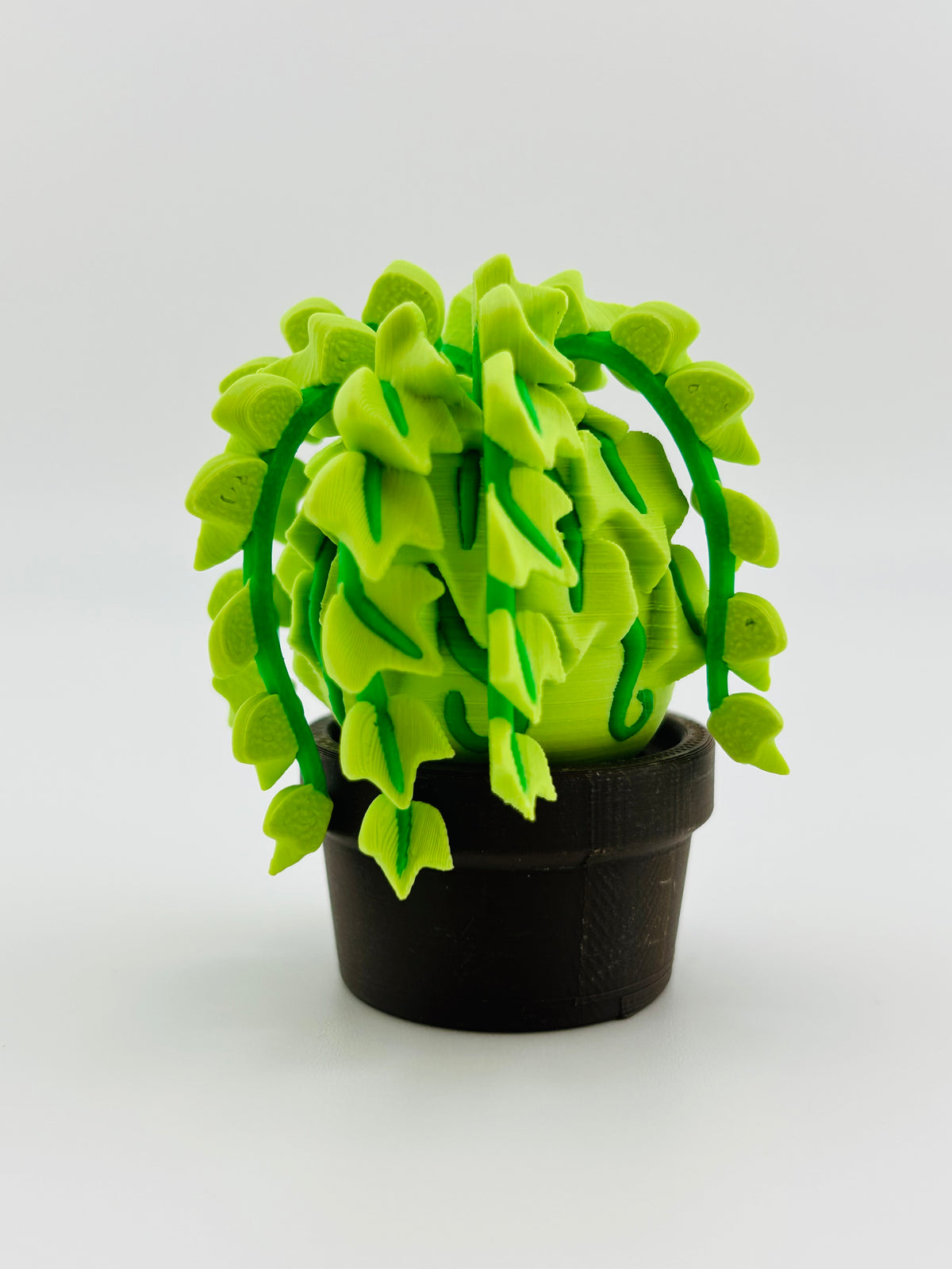 Light Green Ivy Fidget Toy