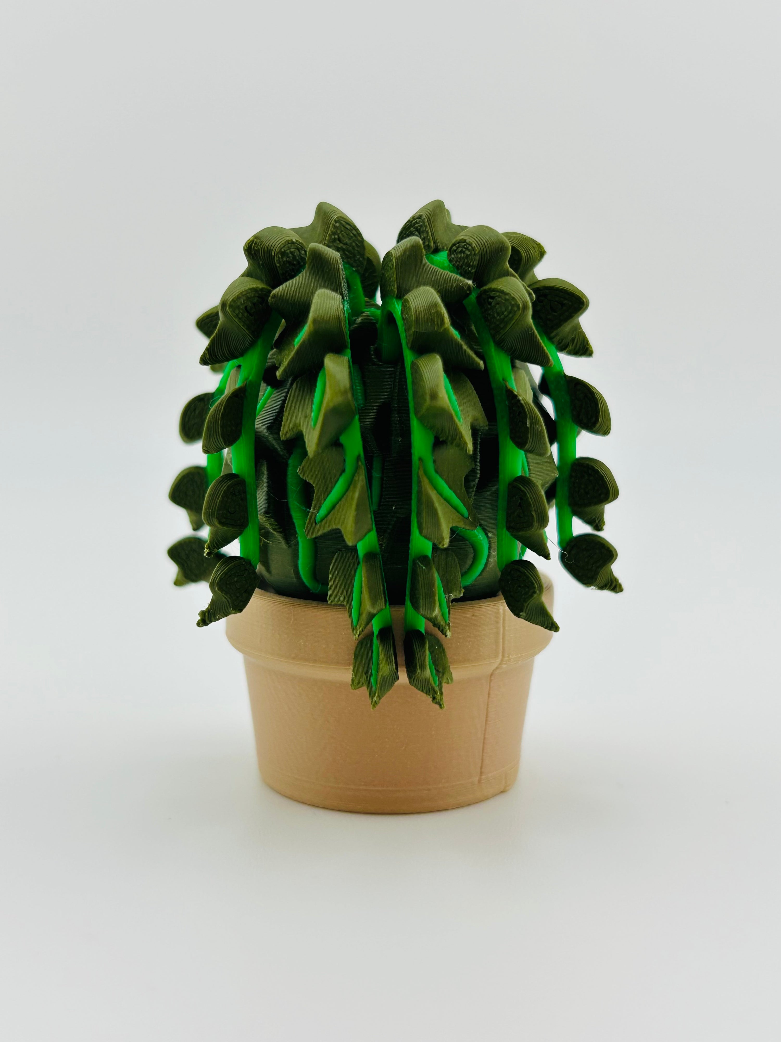 Dark Green Ivy Fidget Toy