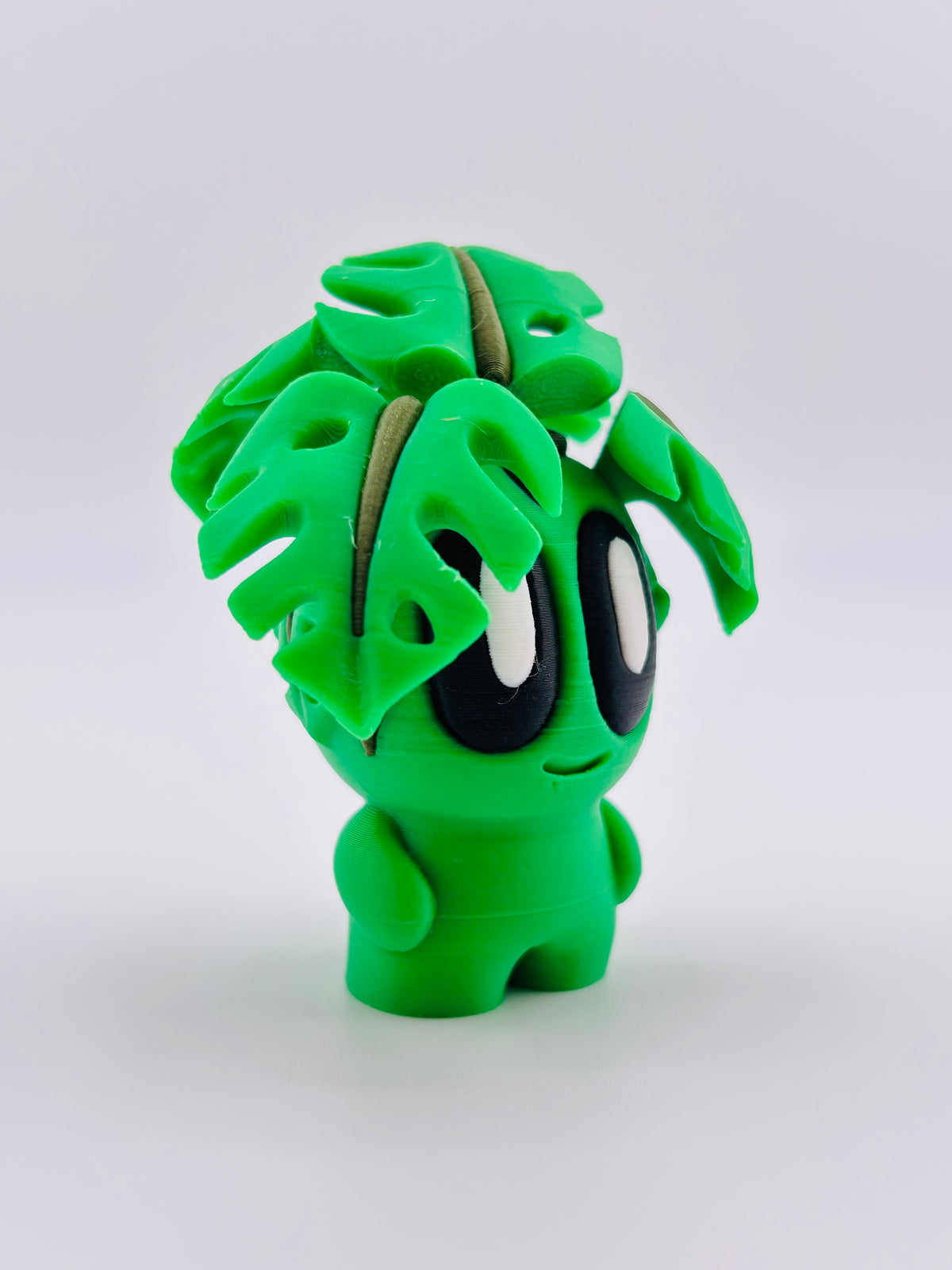 Monstera Fidget Toy