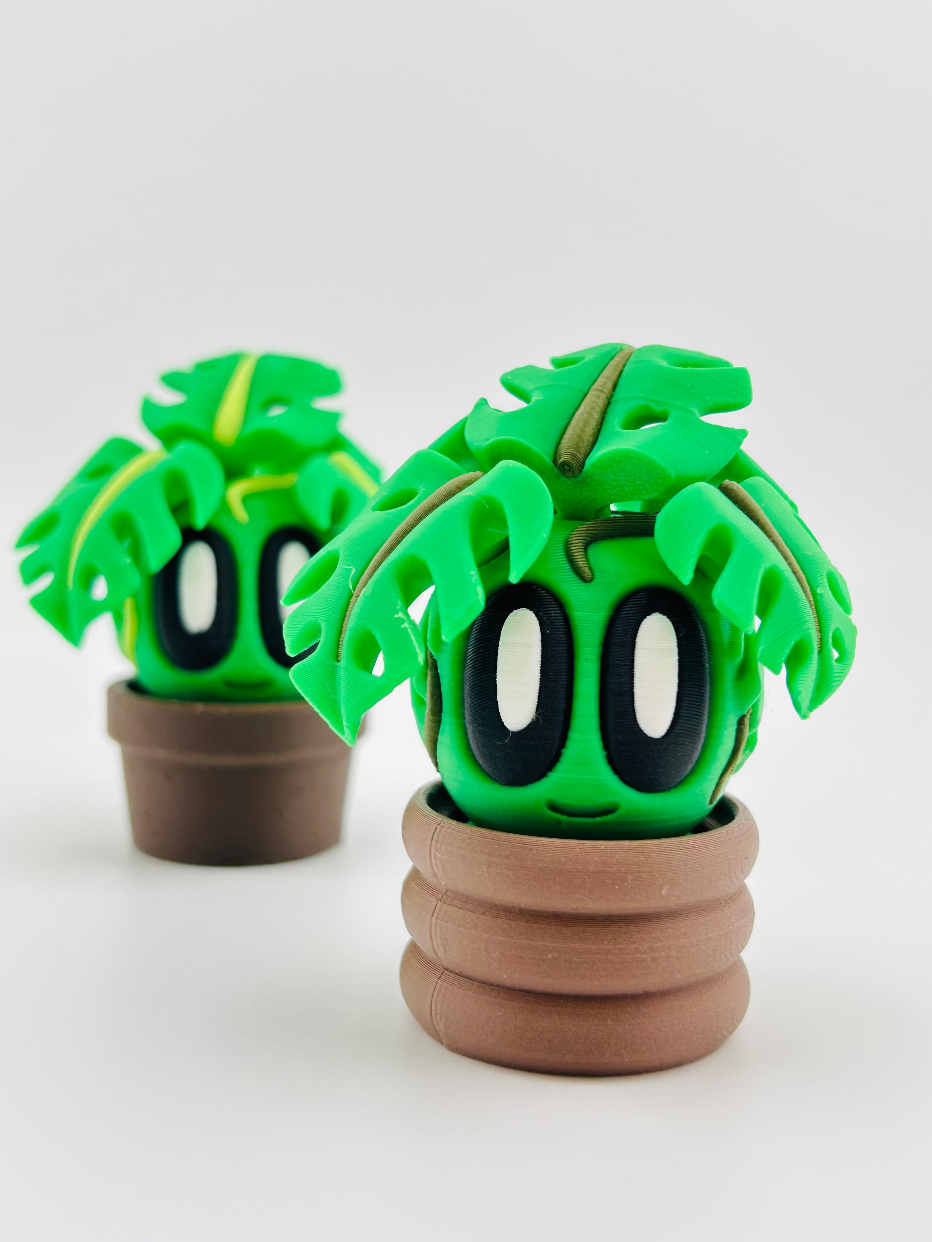 Monstera Fidget Toy