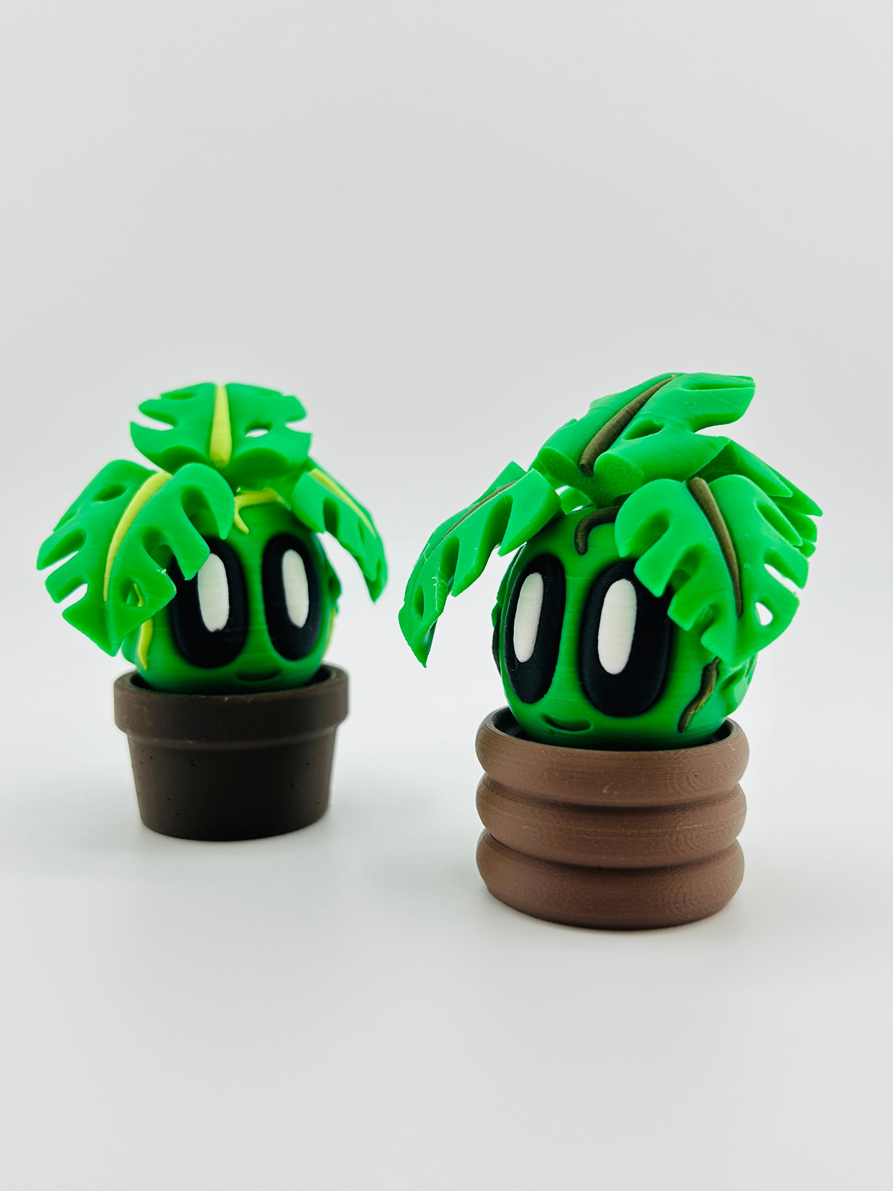 Monstera Fidget Toy