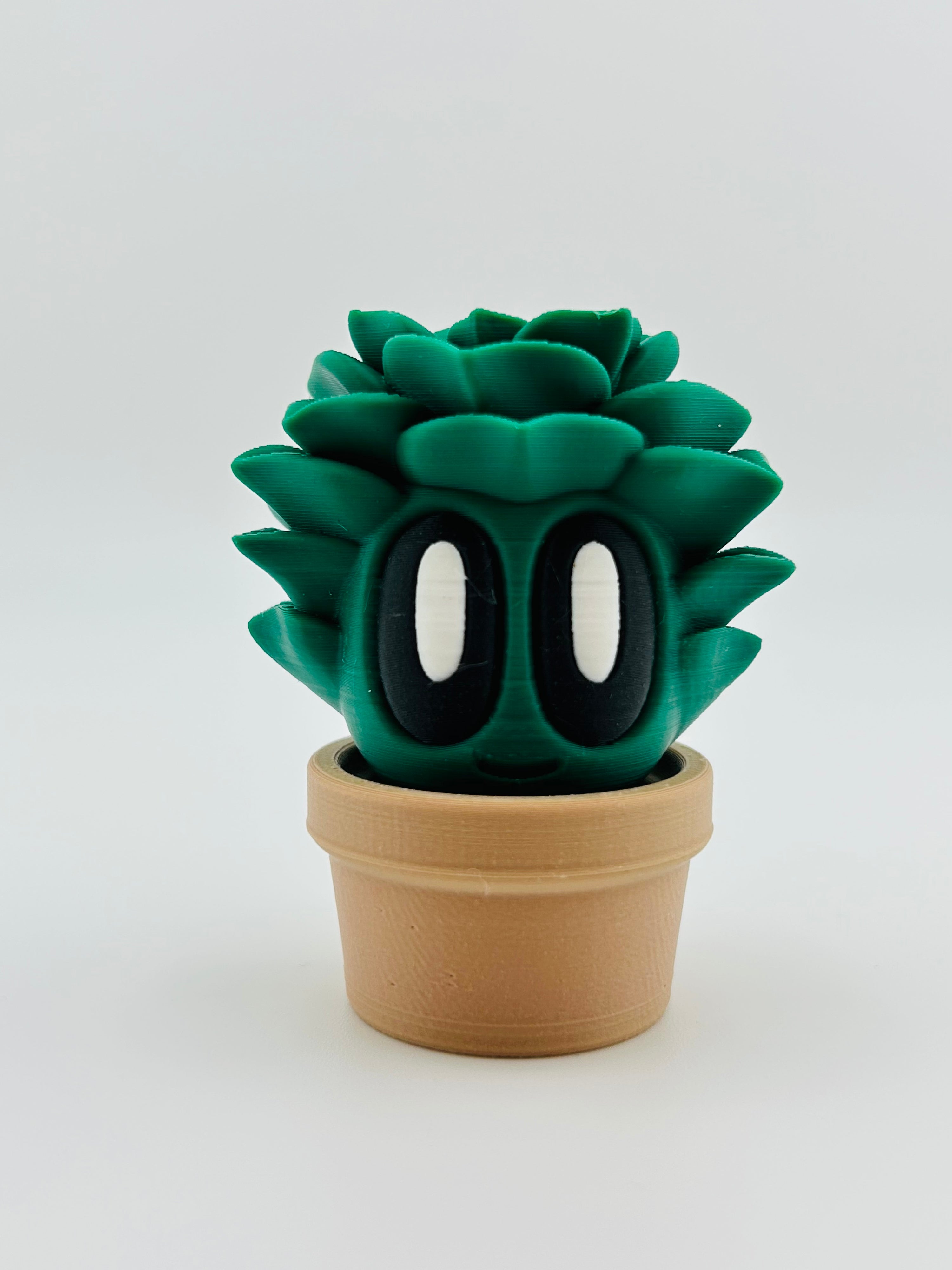Cabbage Fidget Toy