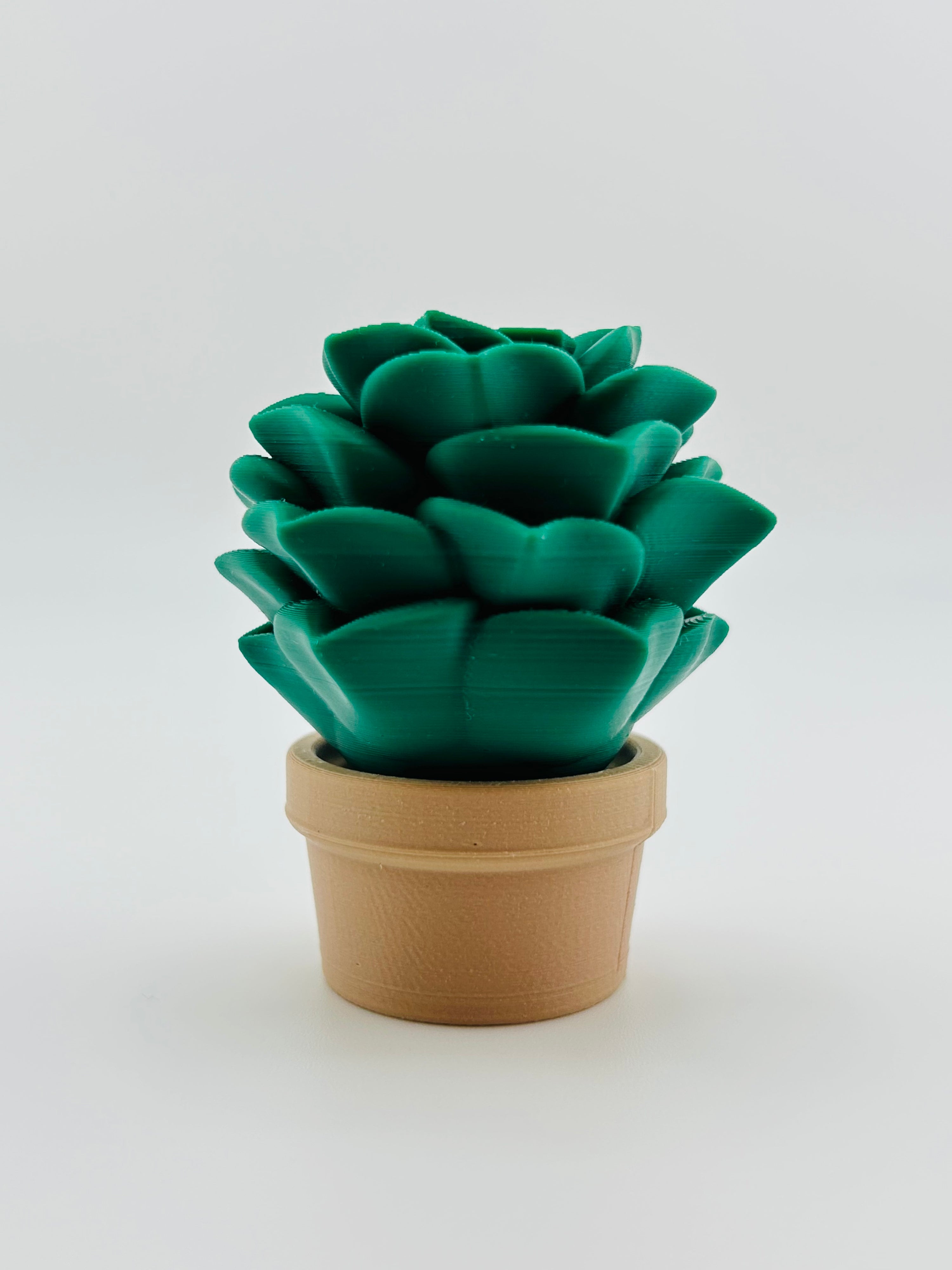 Cabbage Fidget Toy