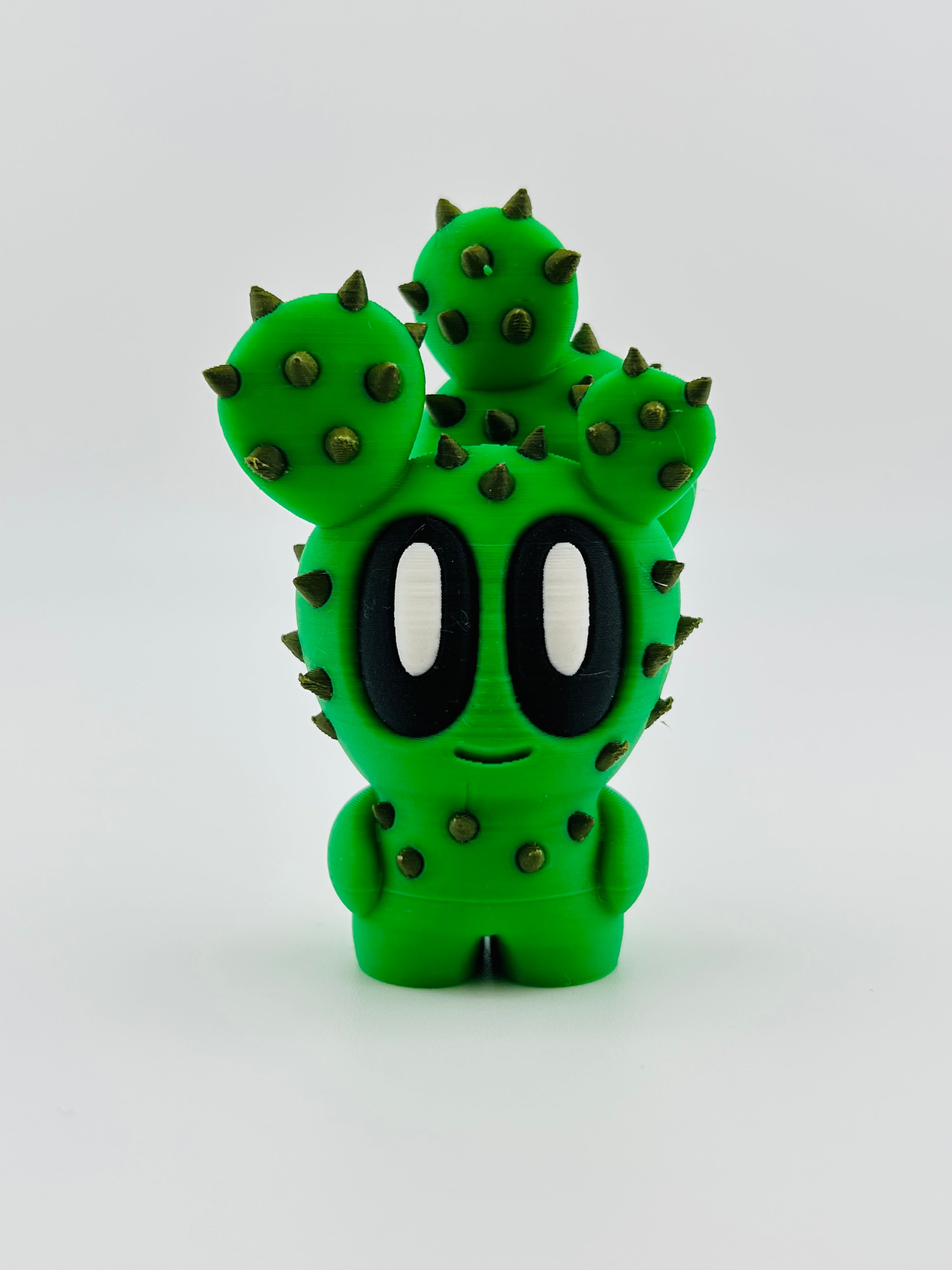 Cactus Fidget Toy