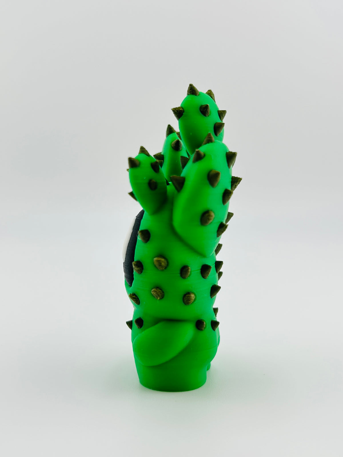 Cactus Fidget Toy
