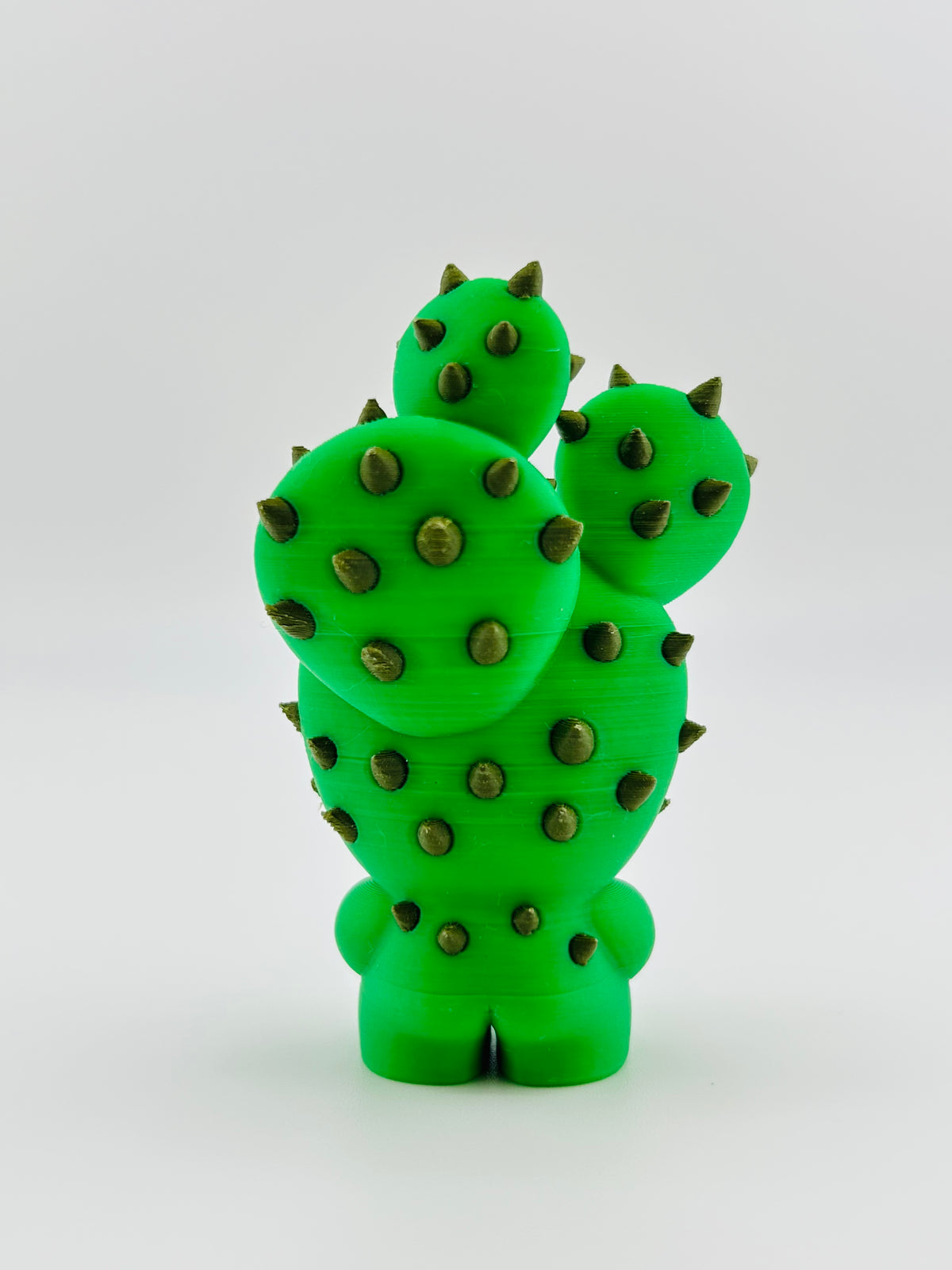 Cactus Fidget Toy