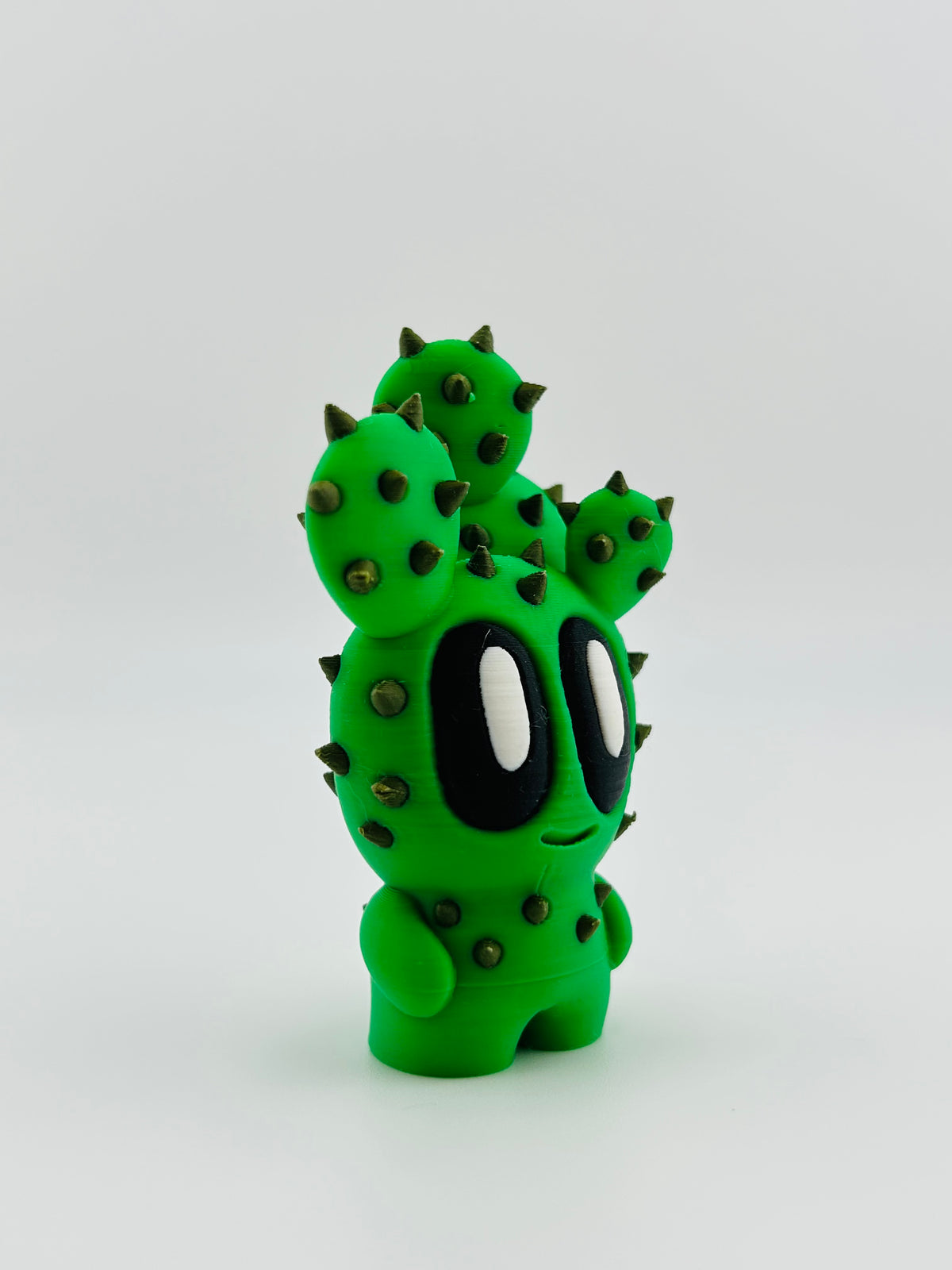 Cactus Fidget Toy