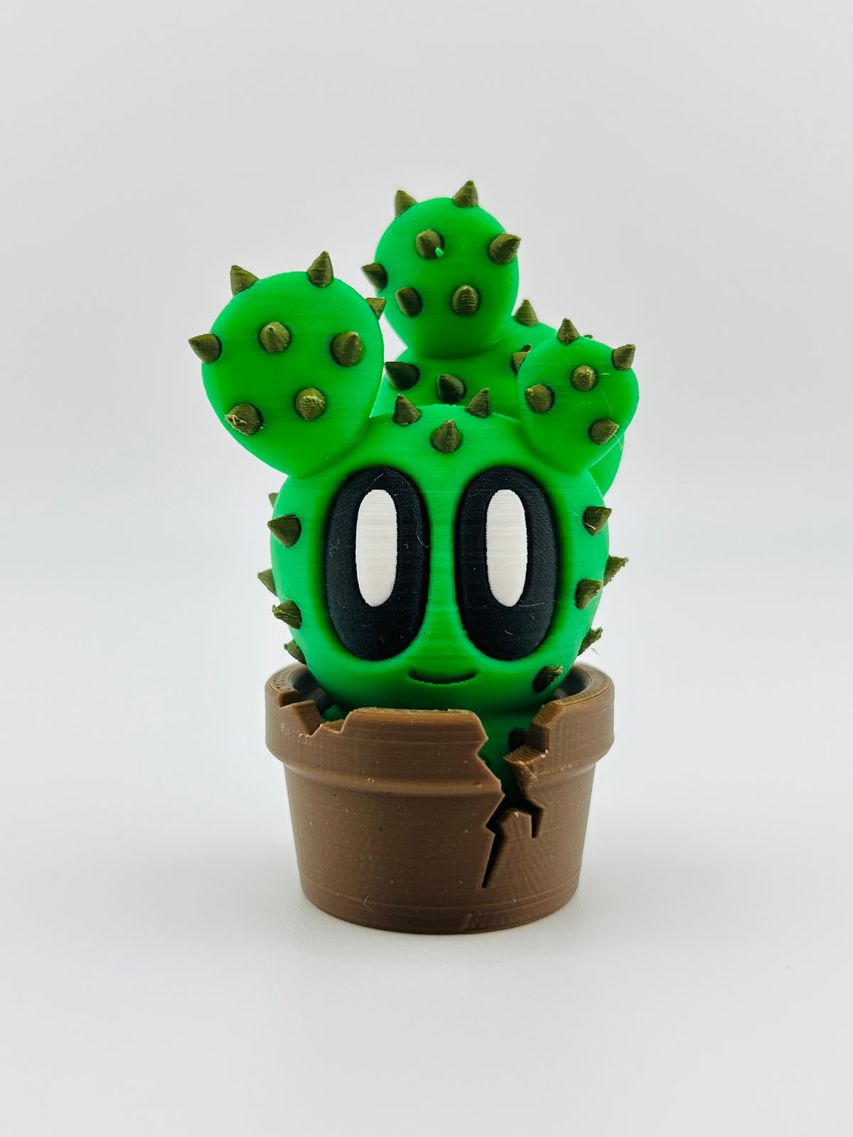 Cactus Fidget Toy