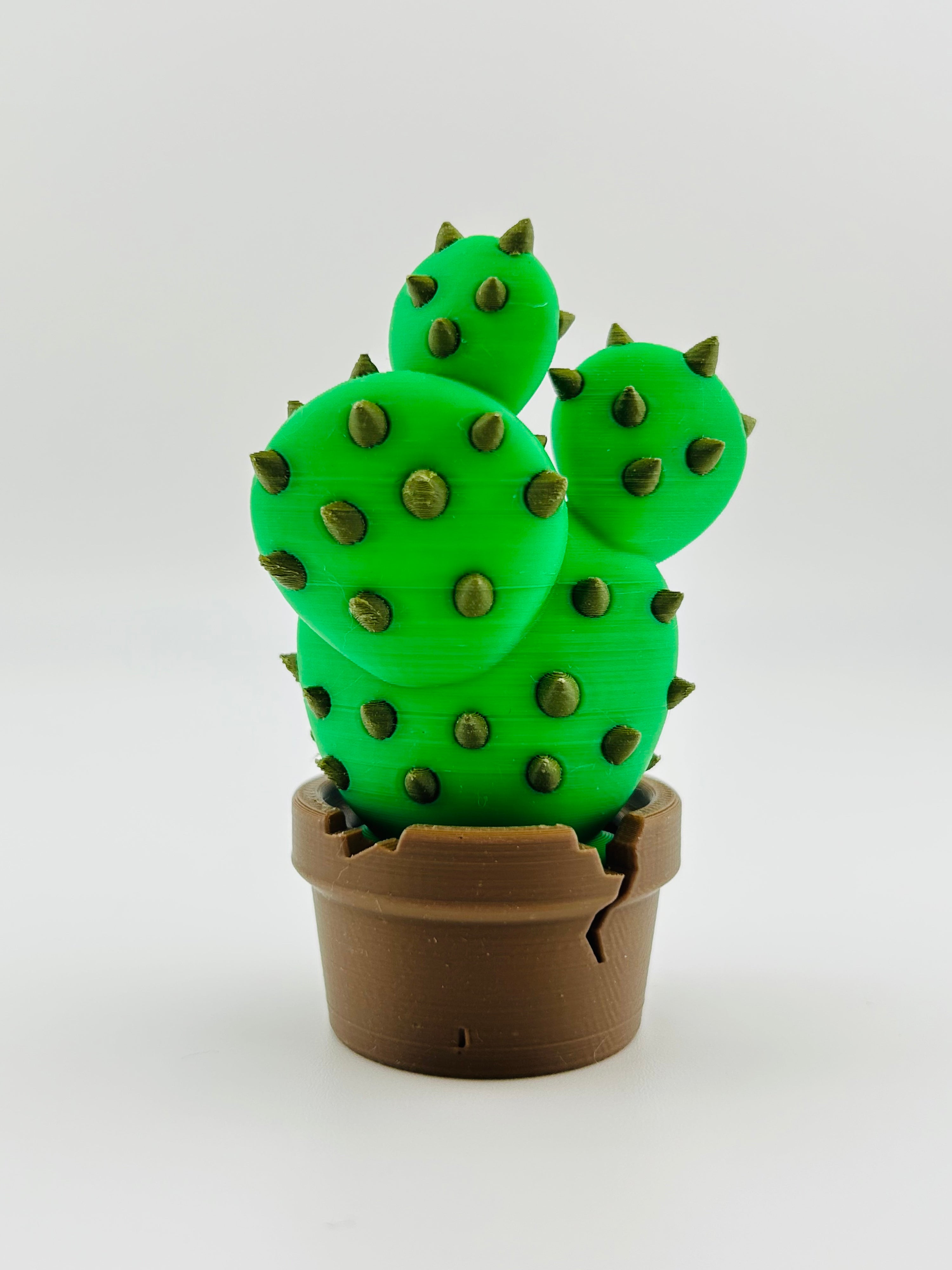 Cactus Fidget Toy