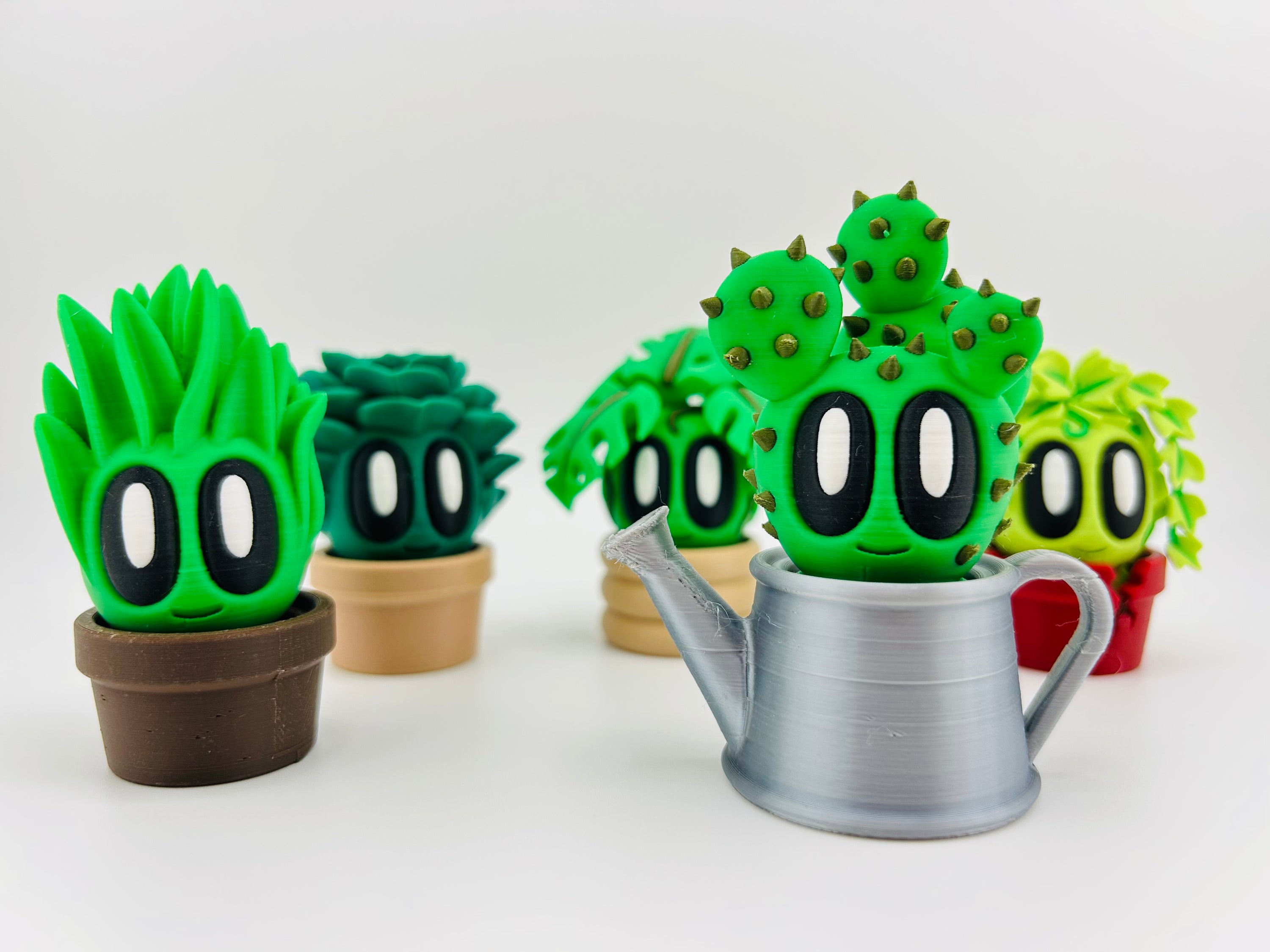 Cactus Fidget Toy