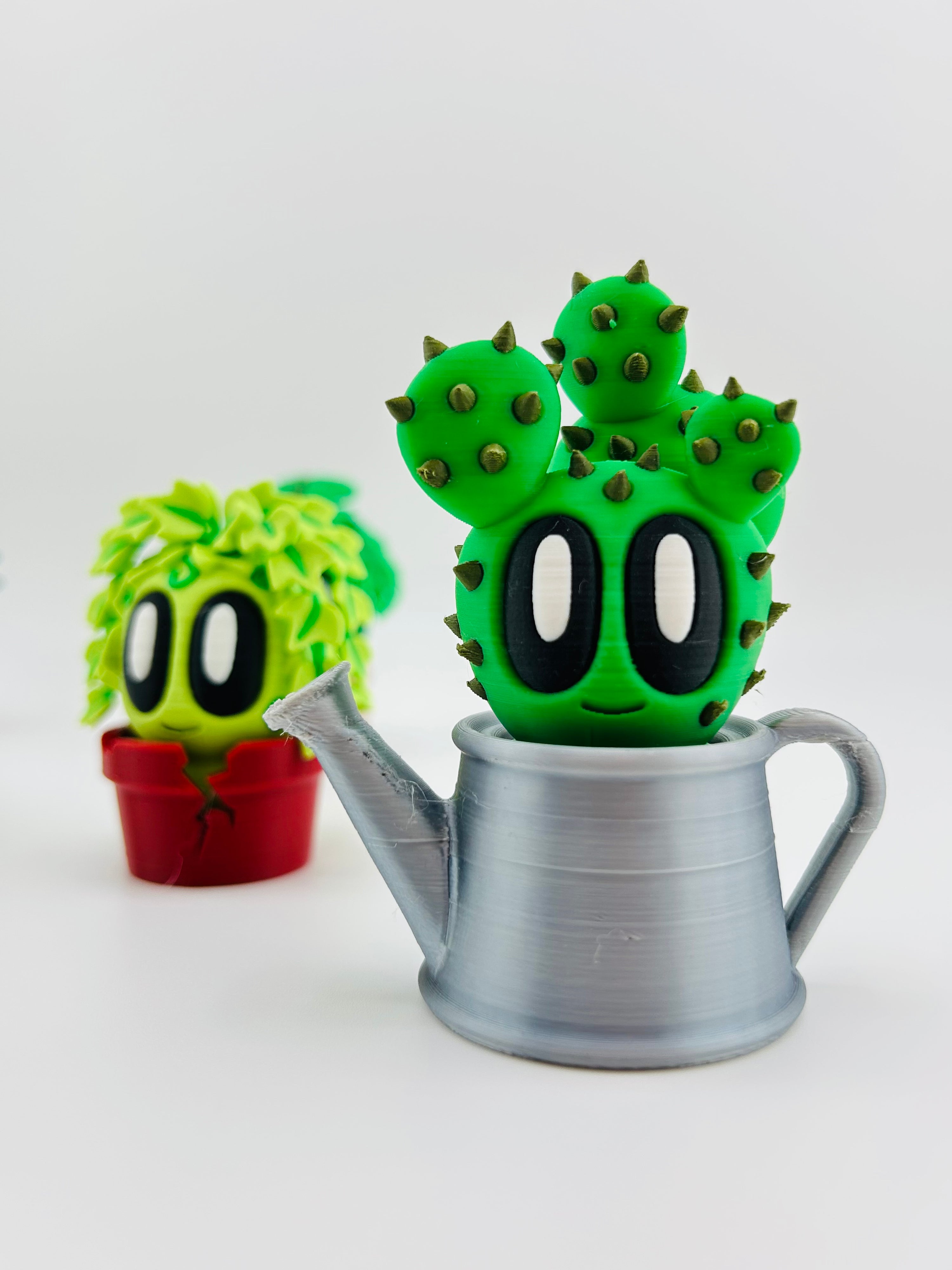 Cactus Fidget Toy